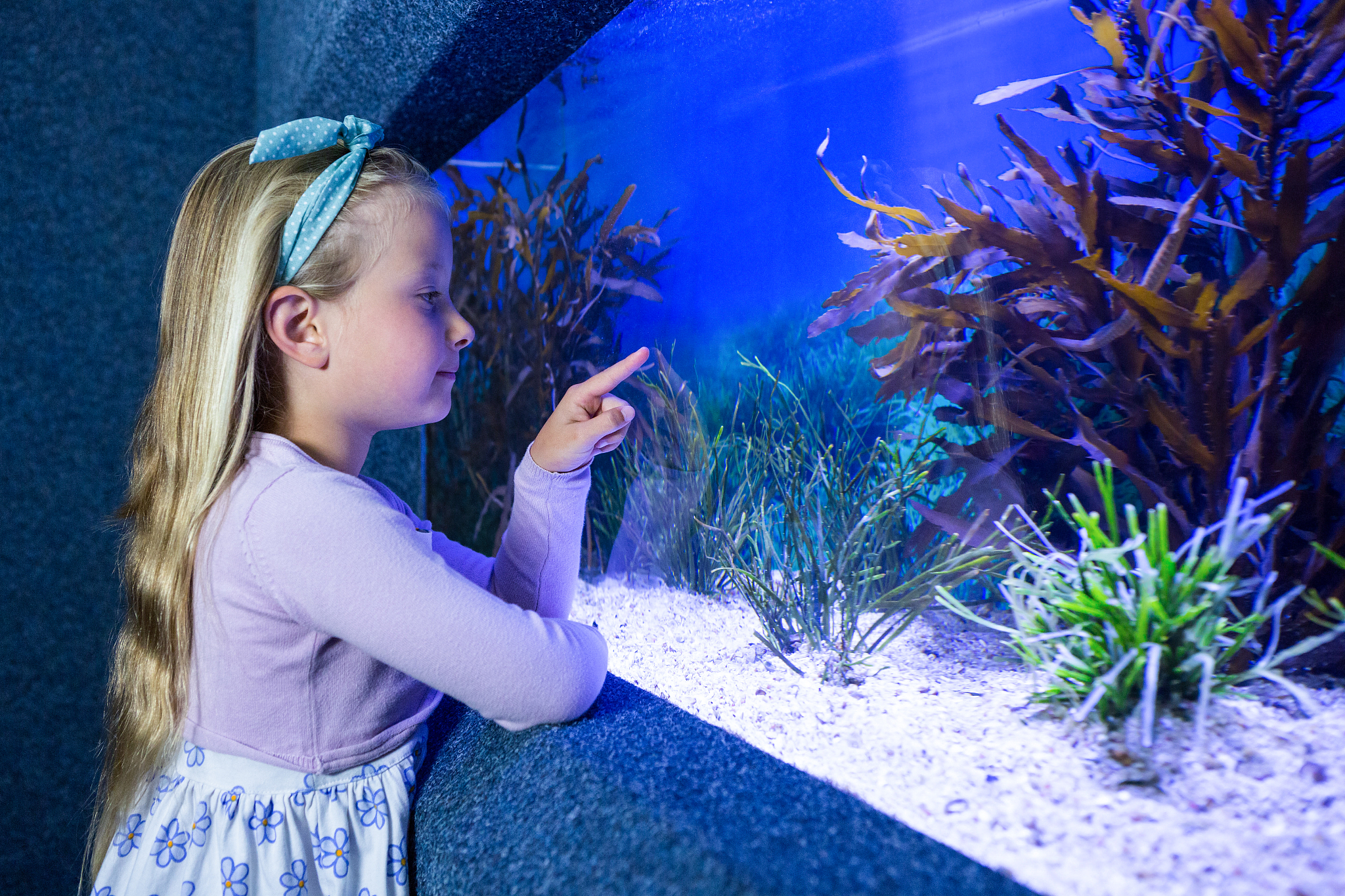 young woman pointing fish in tank at the aquarium