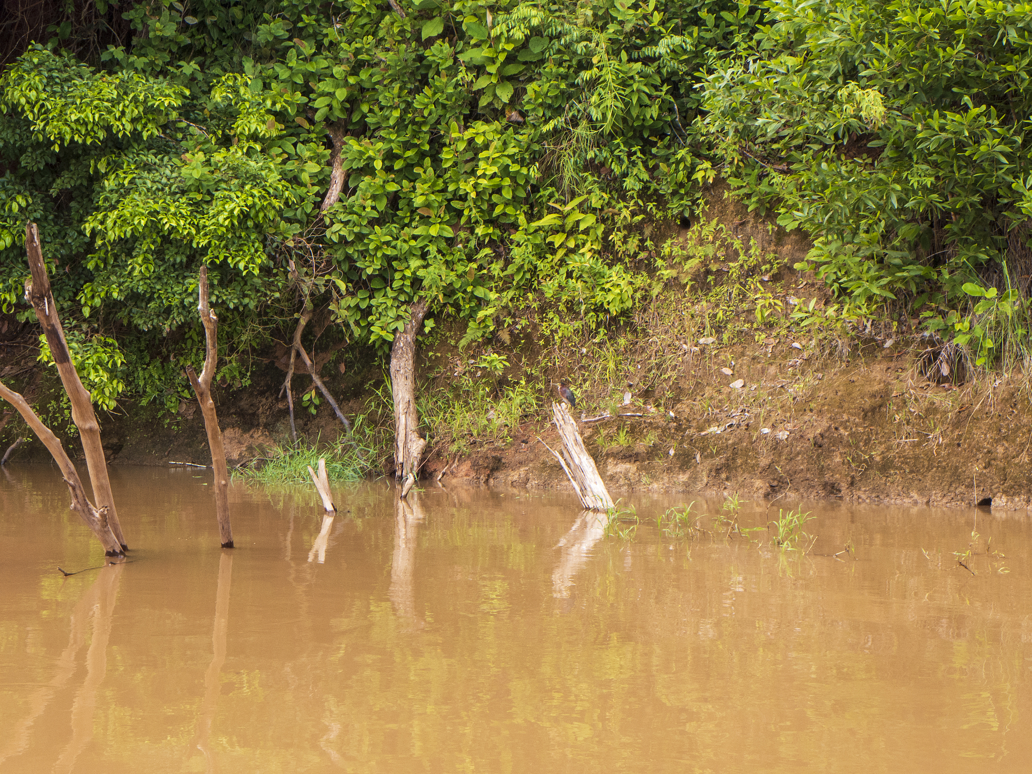 consejos20para20resistir20frio