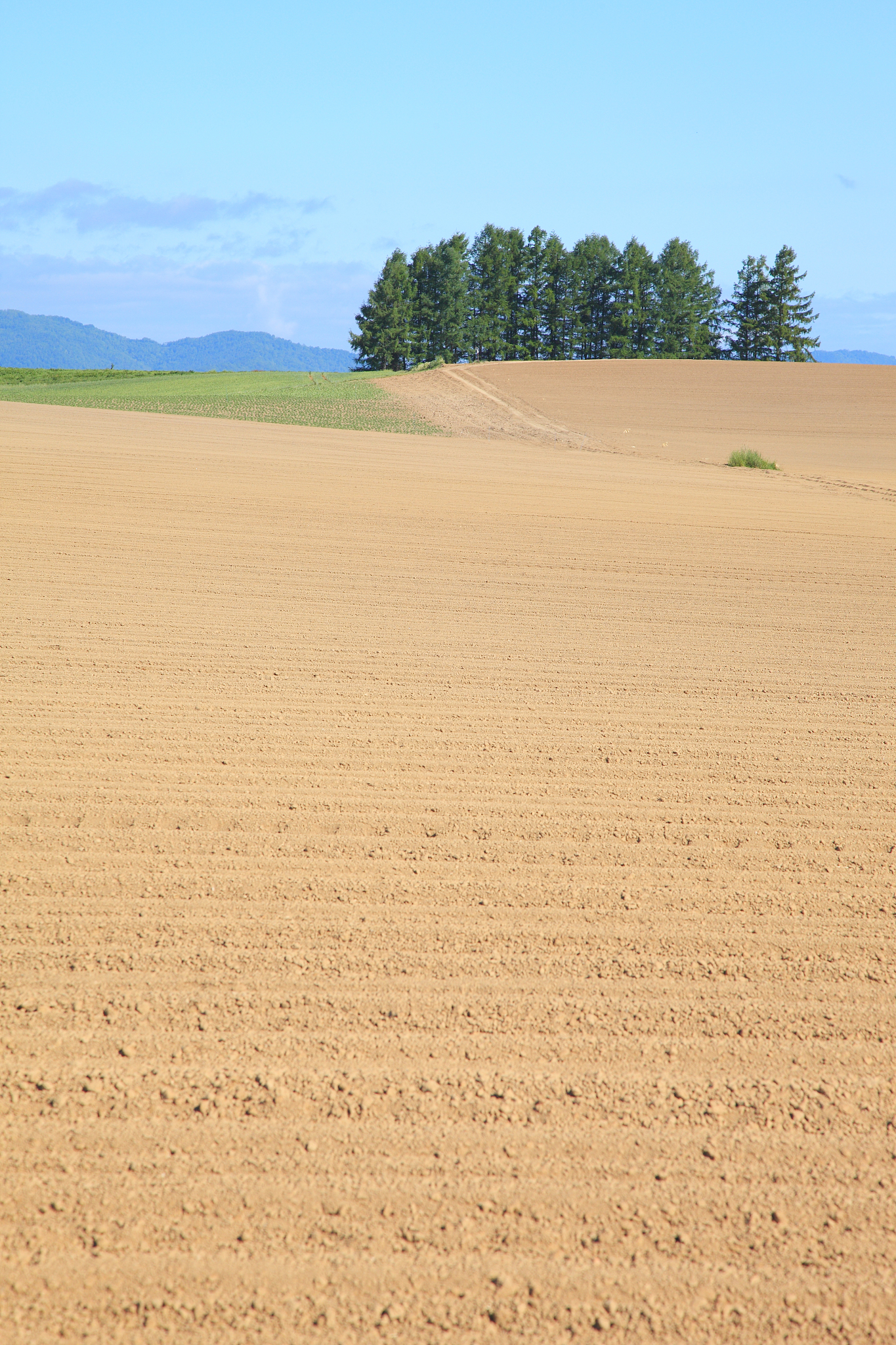 hokkaido,japan