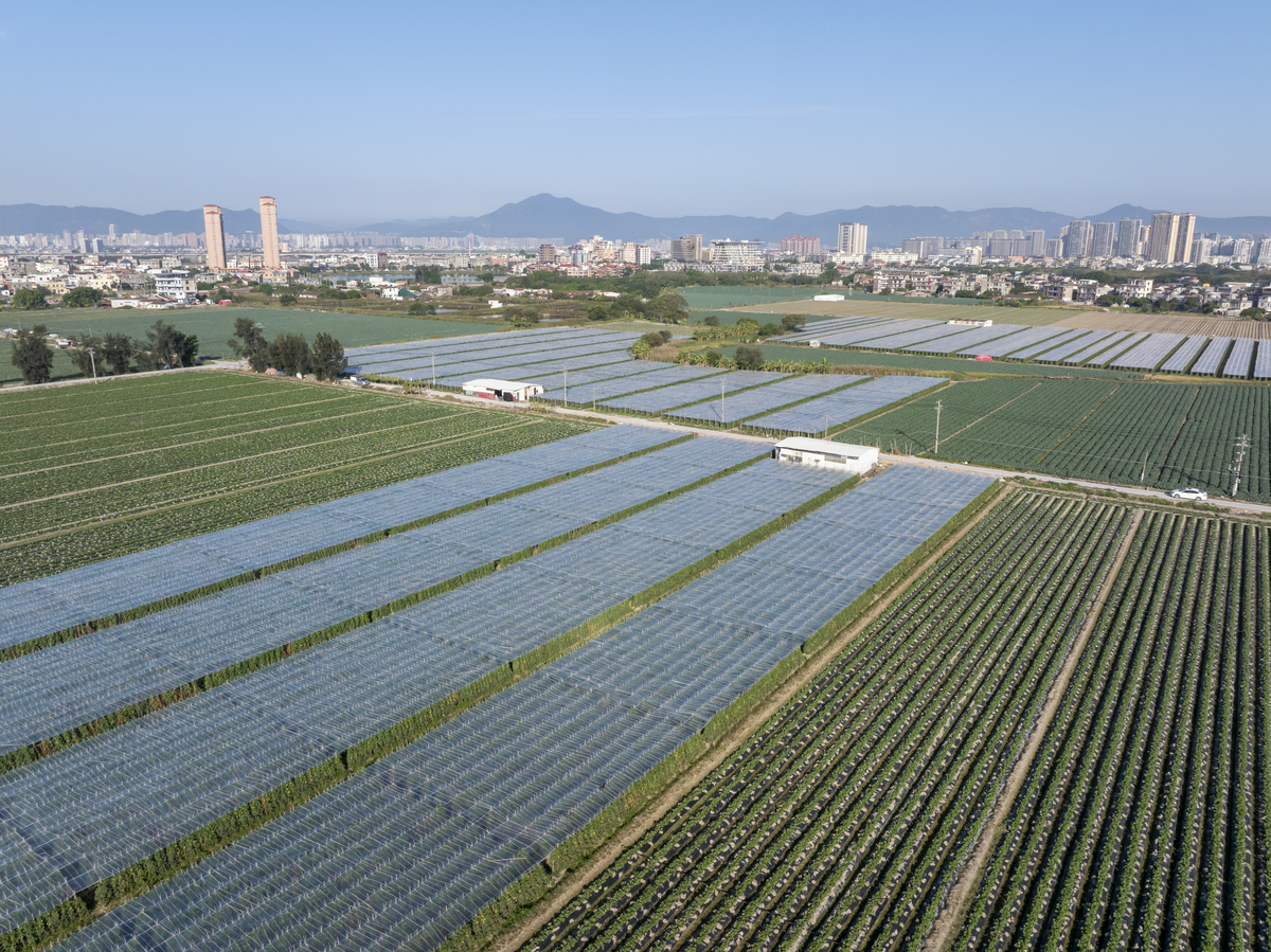 平谷区梨树镇：土地资源丰富，农业生产基地