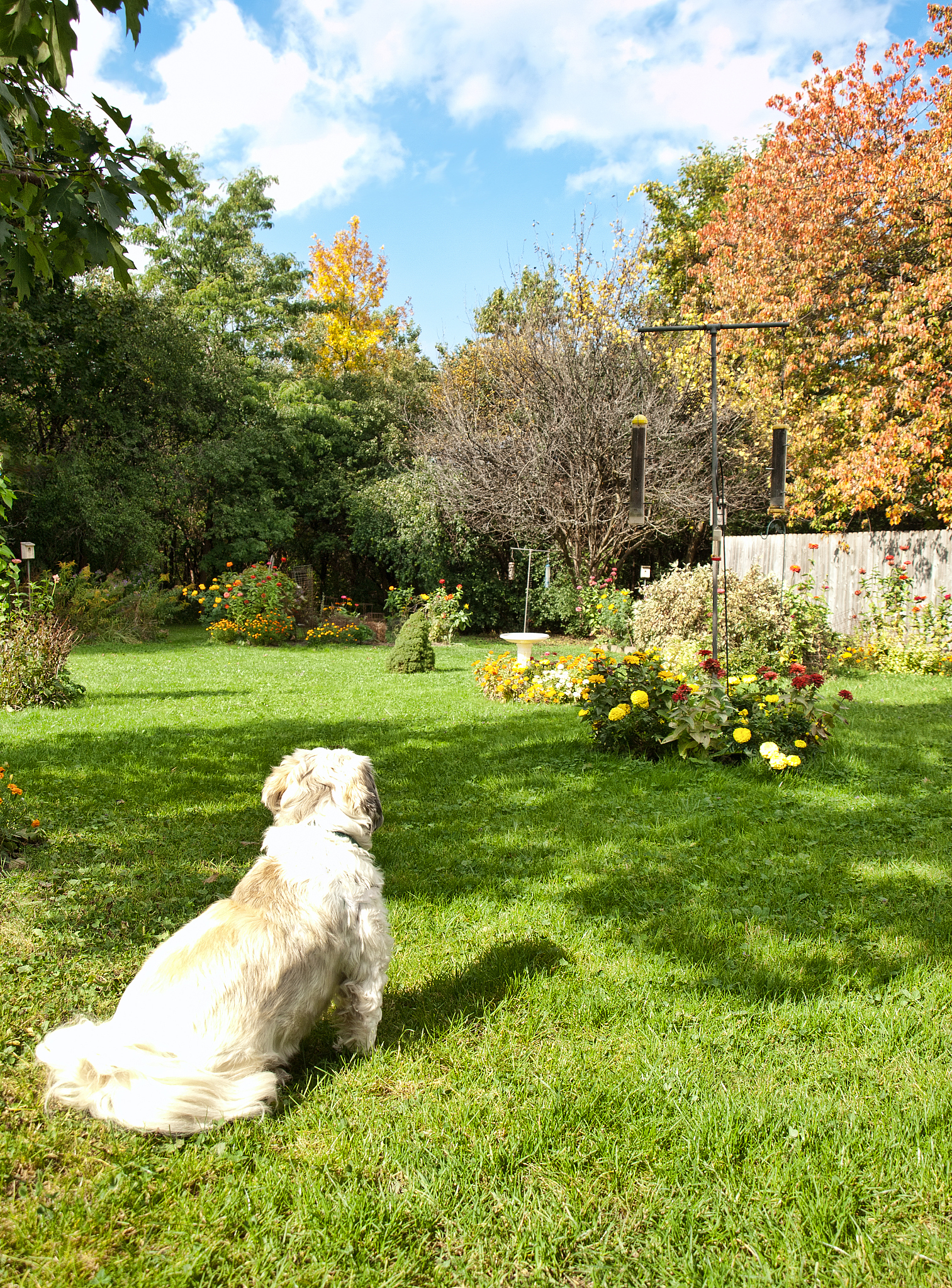 you must choose the best answer from the four choices marked A B C and DHey neighborWhat are you doing this fine saturday morningRelaxing on my porch with my dog roscoe ice tea in one hand a good book