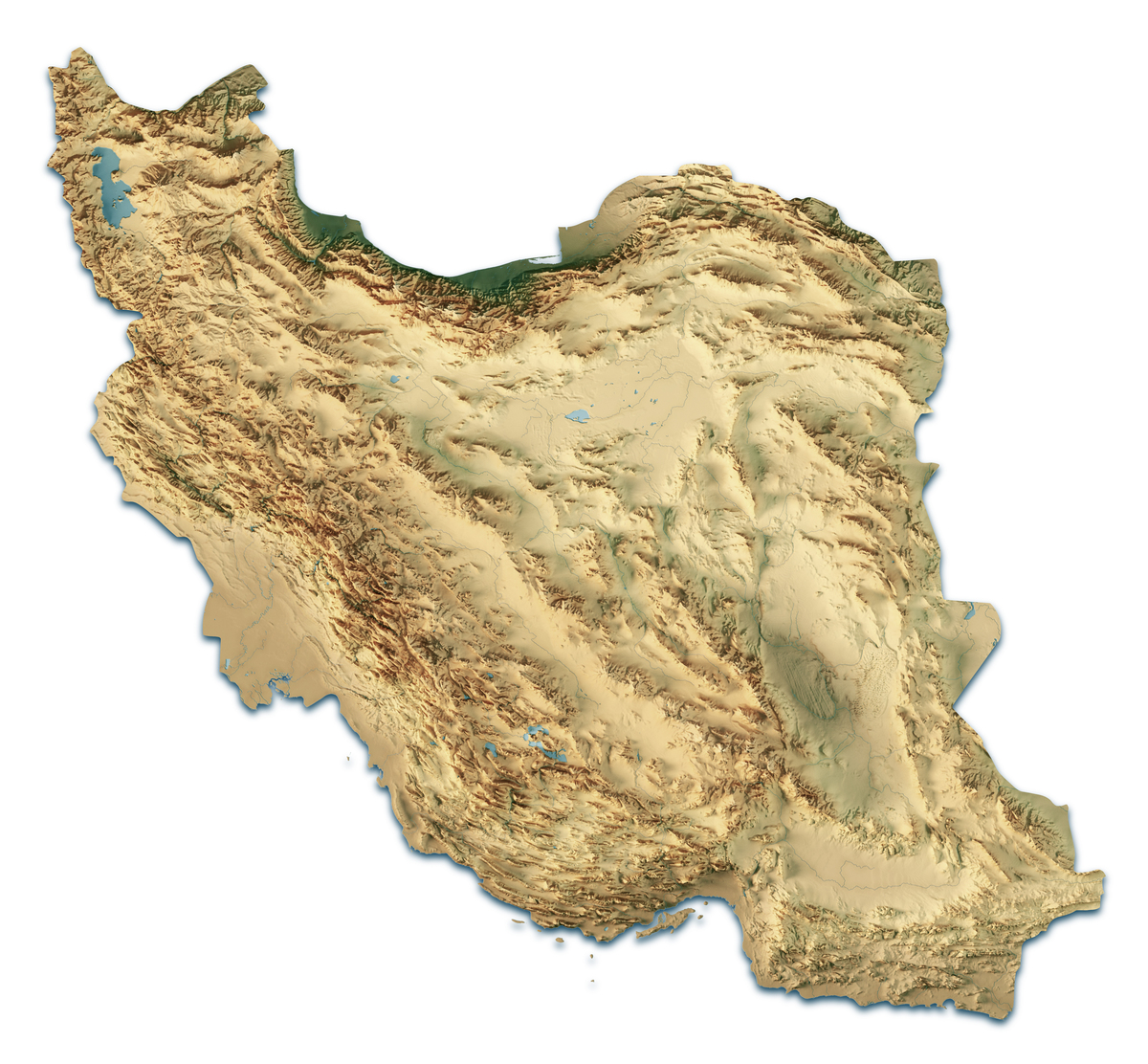 中药学导论学习心得：探索中医药宝库