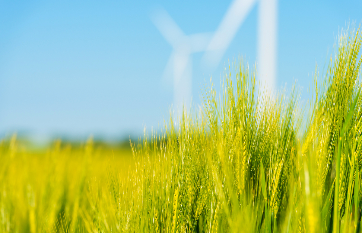 麦田的短视频文案