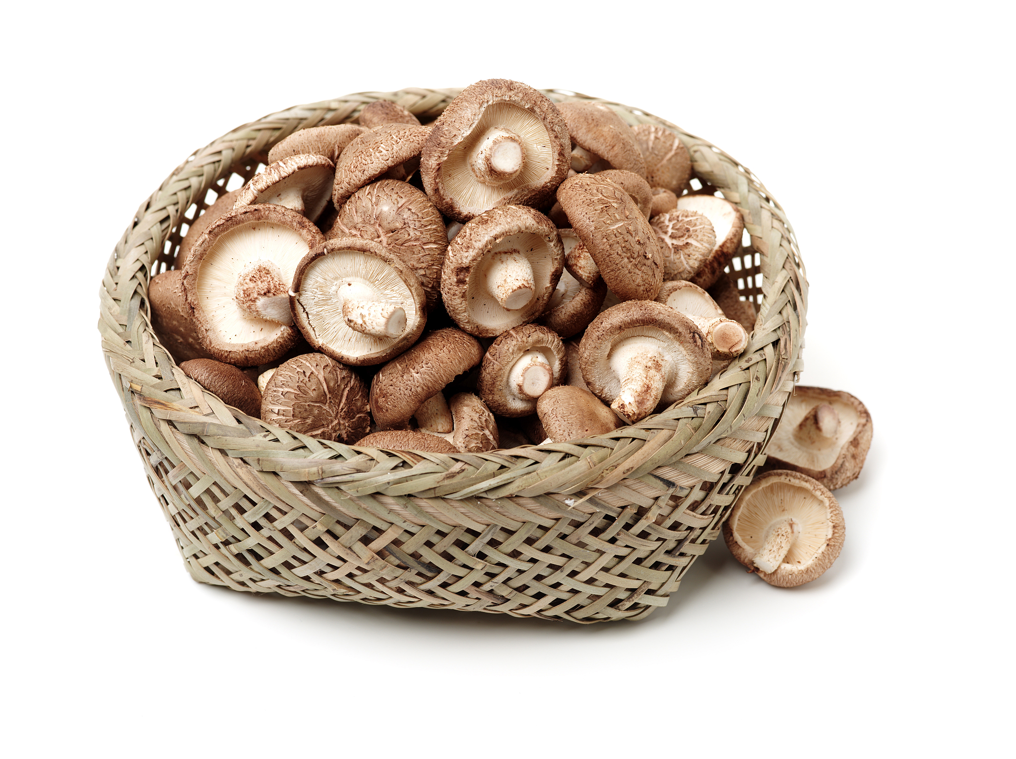 金针菇罐头_自制金针菇罐头_菜谱_美食天下