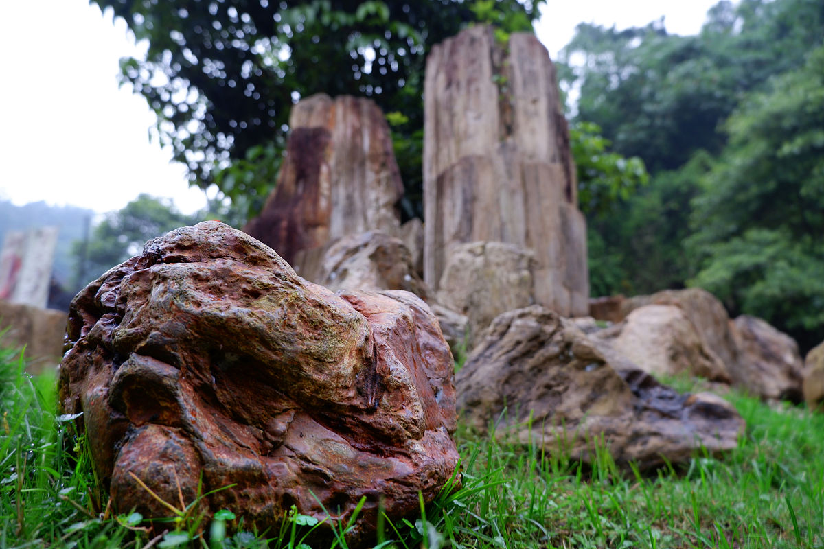 广西贺州昭平县文竹镇榕树岩石地质情况 不少于250字帮我描述