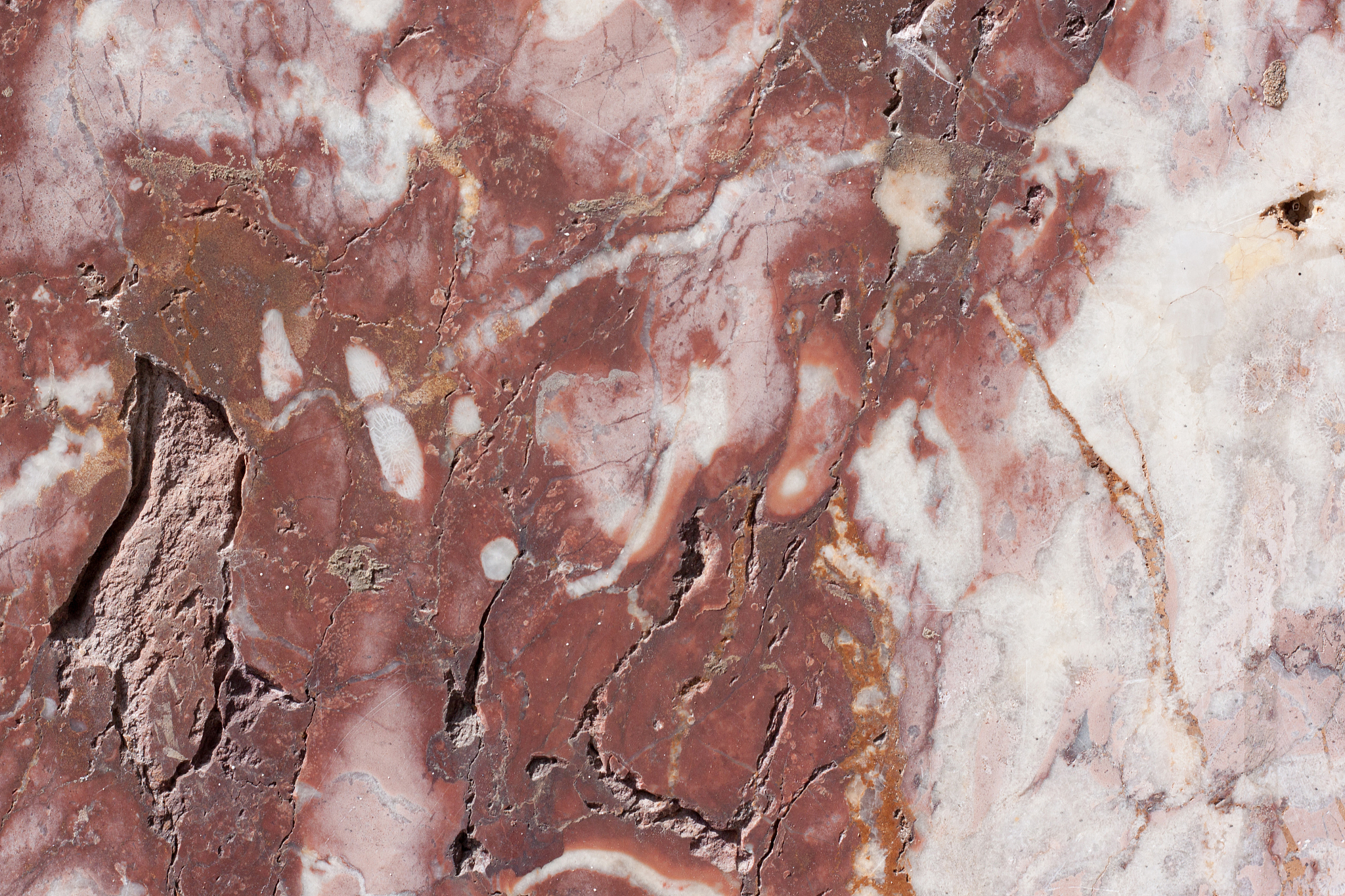 请修正润色	There were still some small caked cargo and moldy cargo were mixed in the piles The caked cargo was easily cracked by hands and the cargo showed dark color White point was showing on the surfac