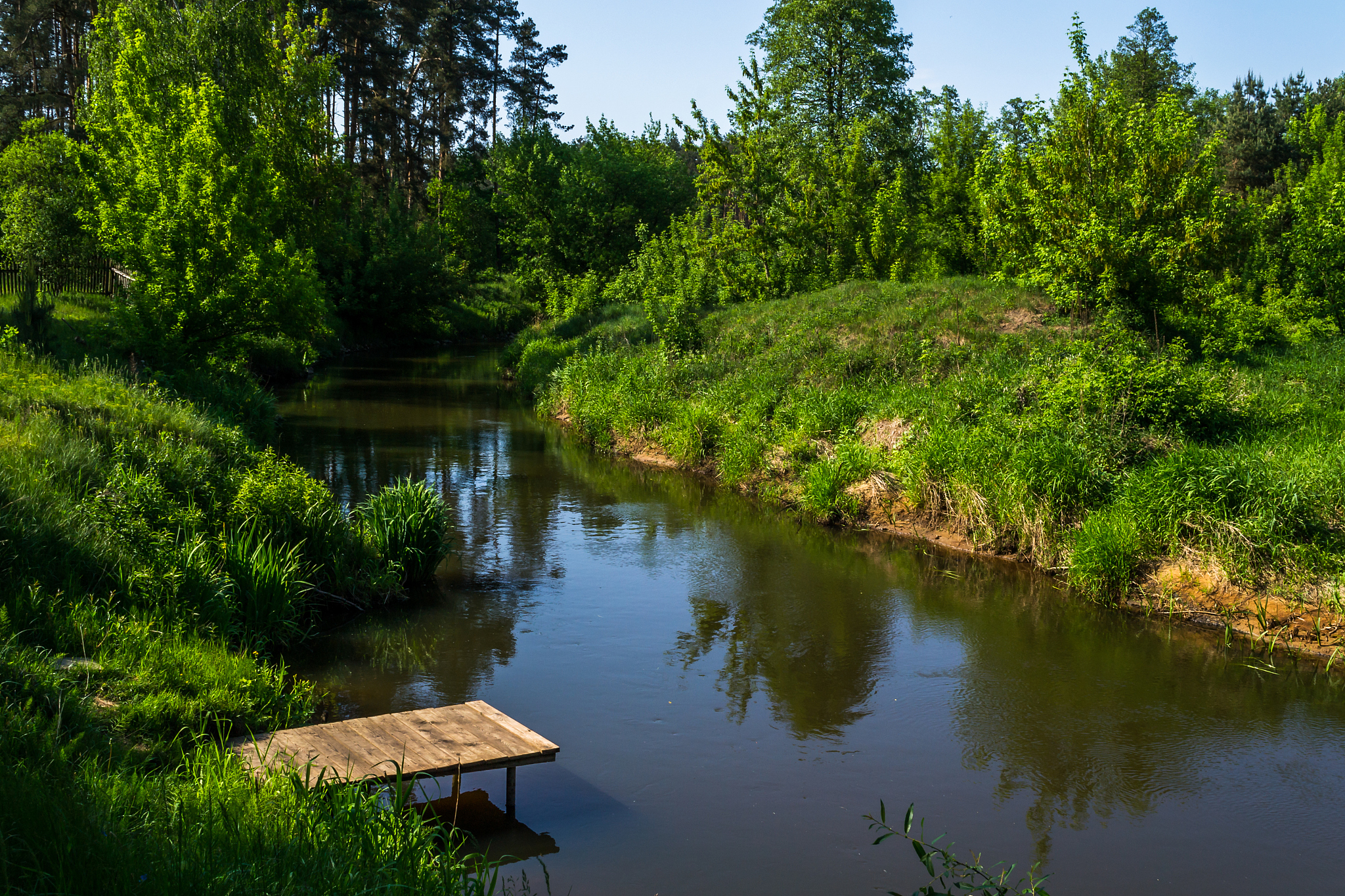 春来江水绿如蓝的上一句是什么