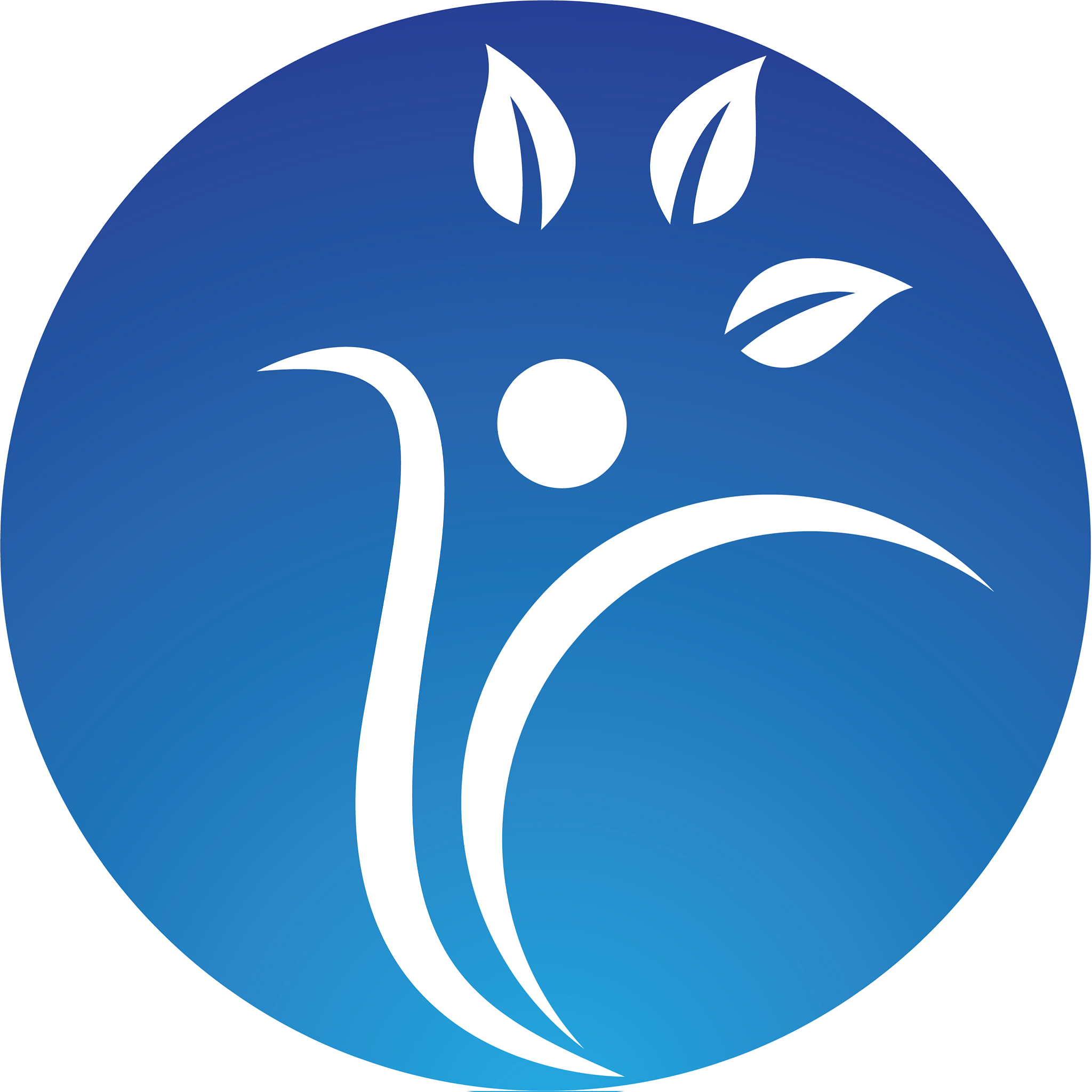 health icon design