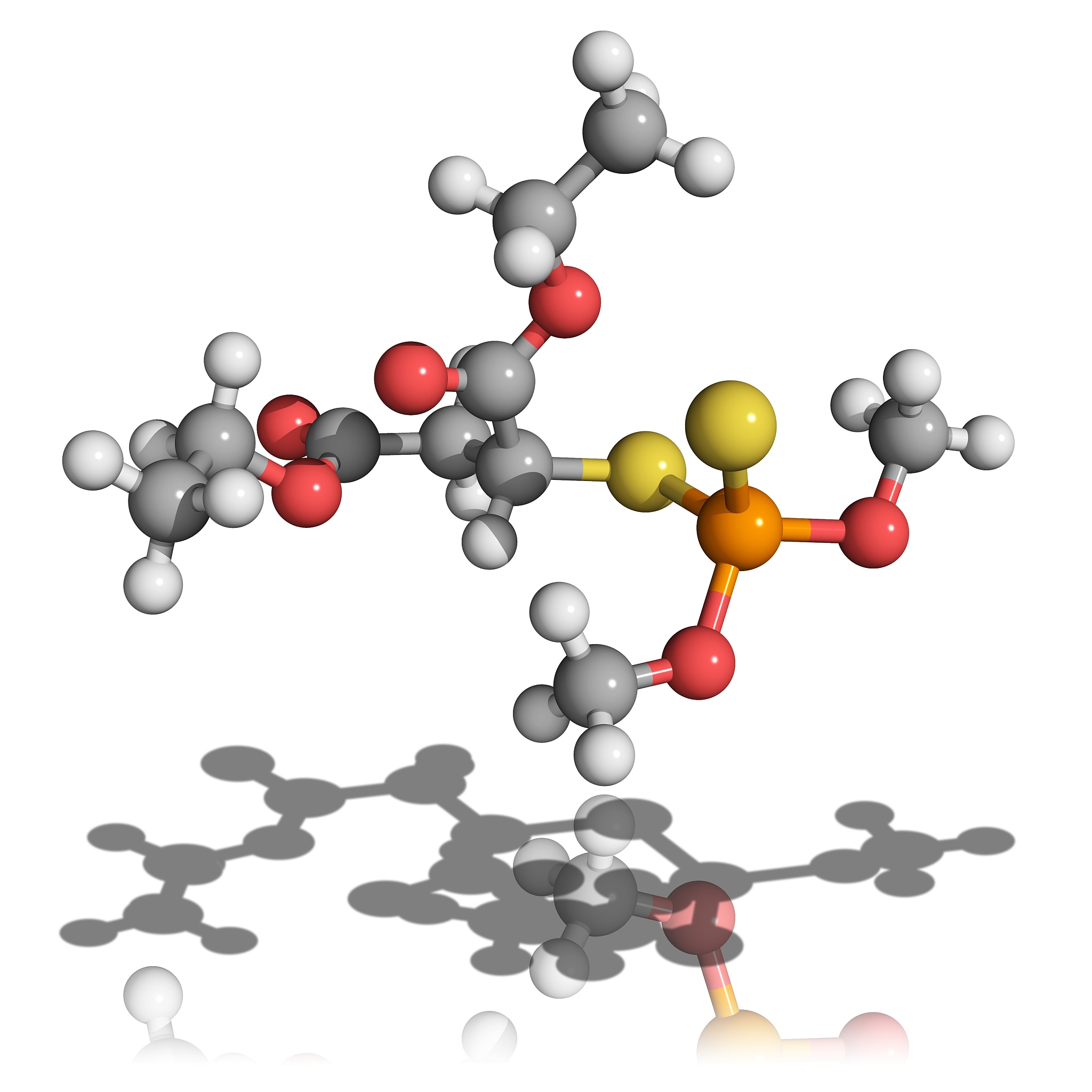硅基工程方法增强D-泛解酸内酯水解酶活性：分子机制解析