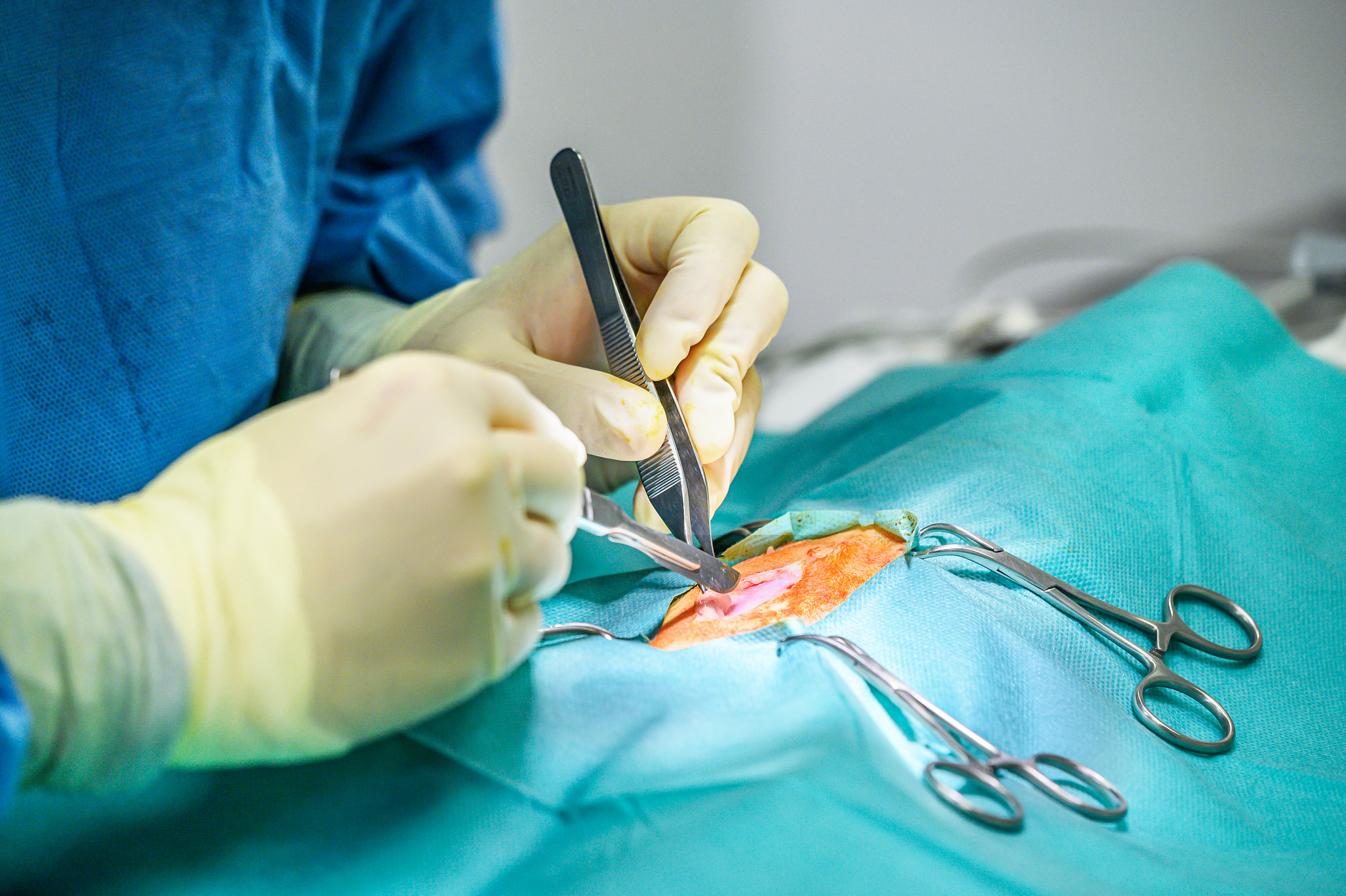 close-up, hands of the professional surgeon, doing surgery. in t