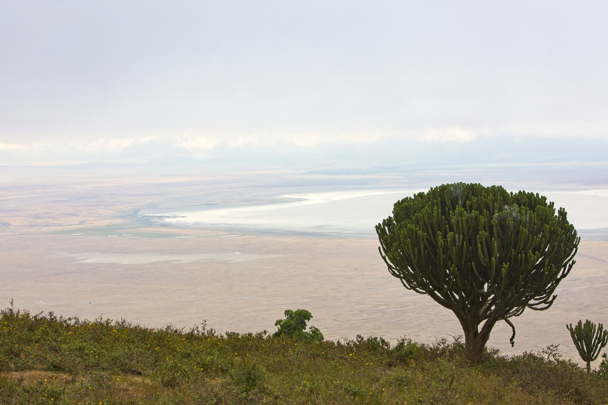 view of the ngorongoro crater and lake with early morning for, t