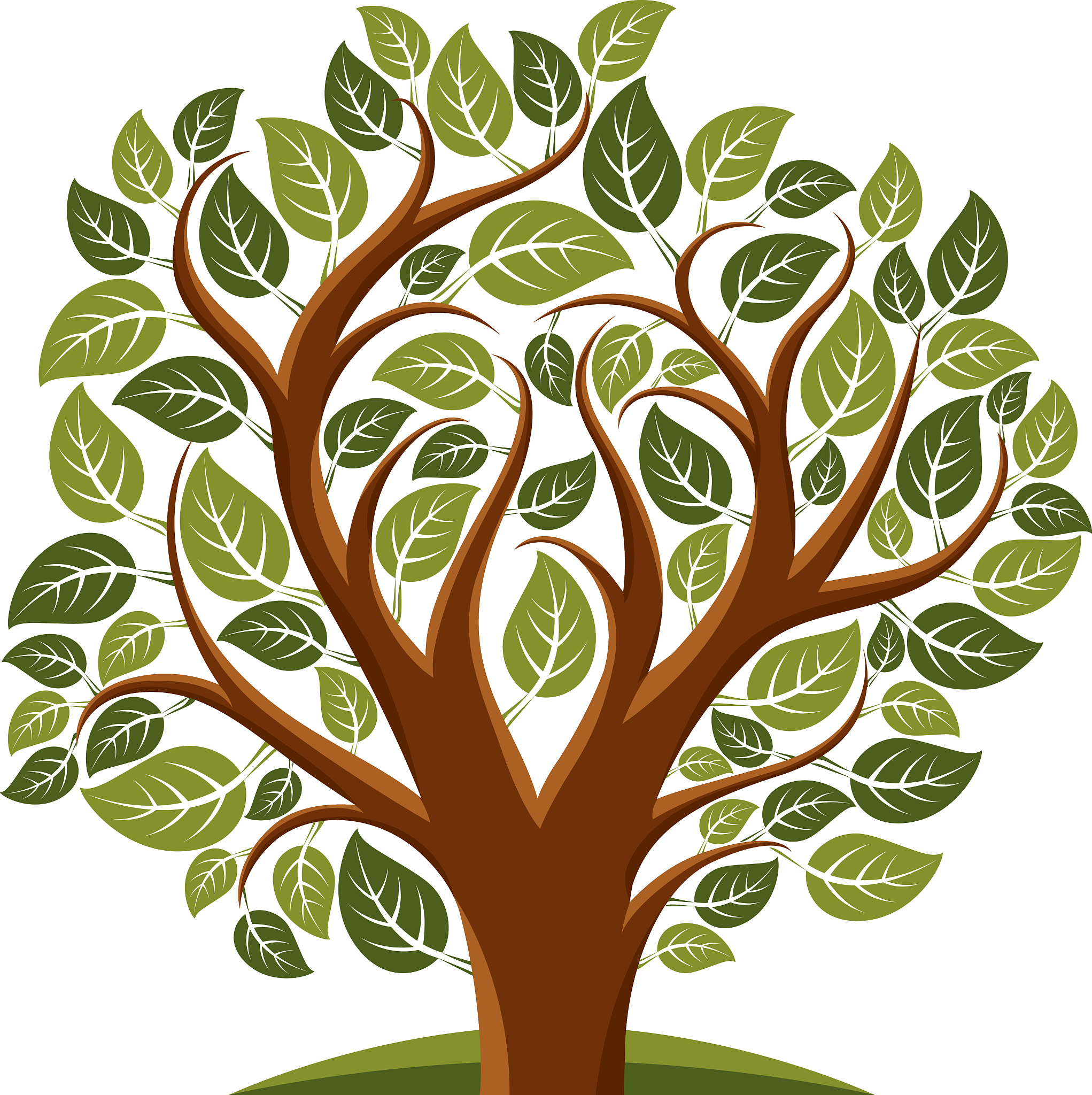 vector illustration of tree with leaves and branches