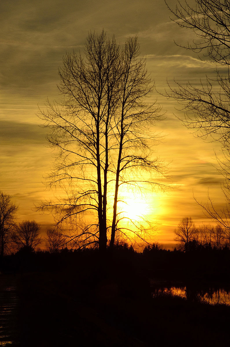 夕阳下的荒原：荒凉与寂静的写意