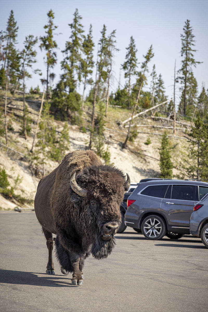 长沙地铁3号线可以停摩托车吗？