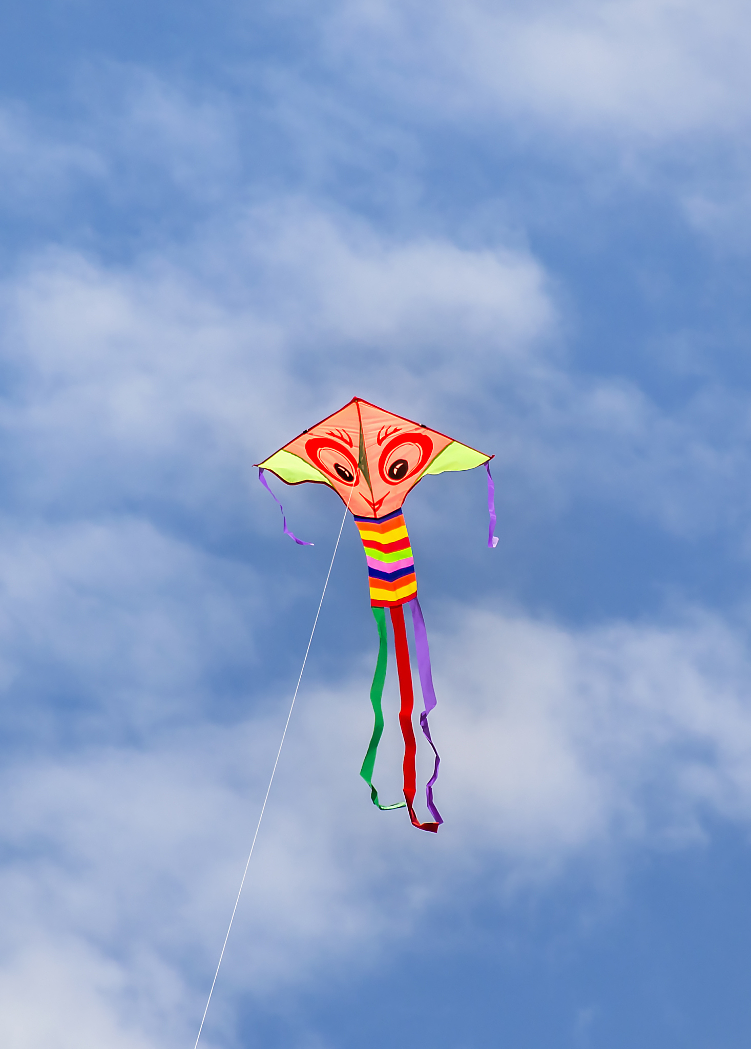flying kite