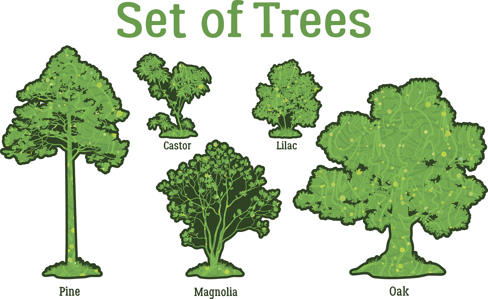 Energy Distribution in PlantsAnnuals are plants that go through their entire life cycle within a single yearAnnuals begin their life cycles in the spring when seeds that survived the winter germinate