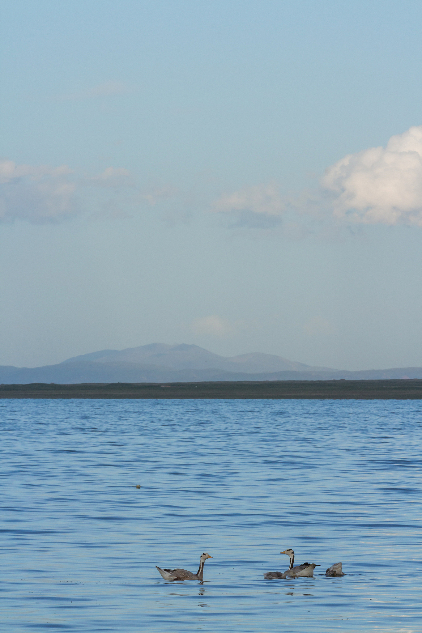 青海湖景区门票价格、优惠政策及免费政策