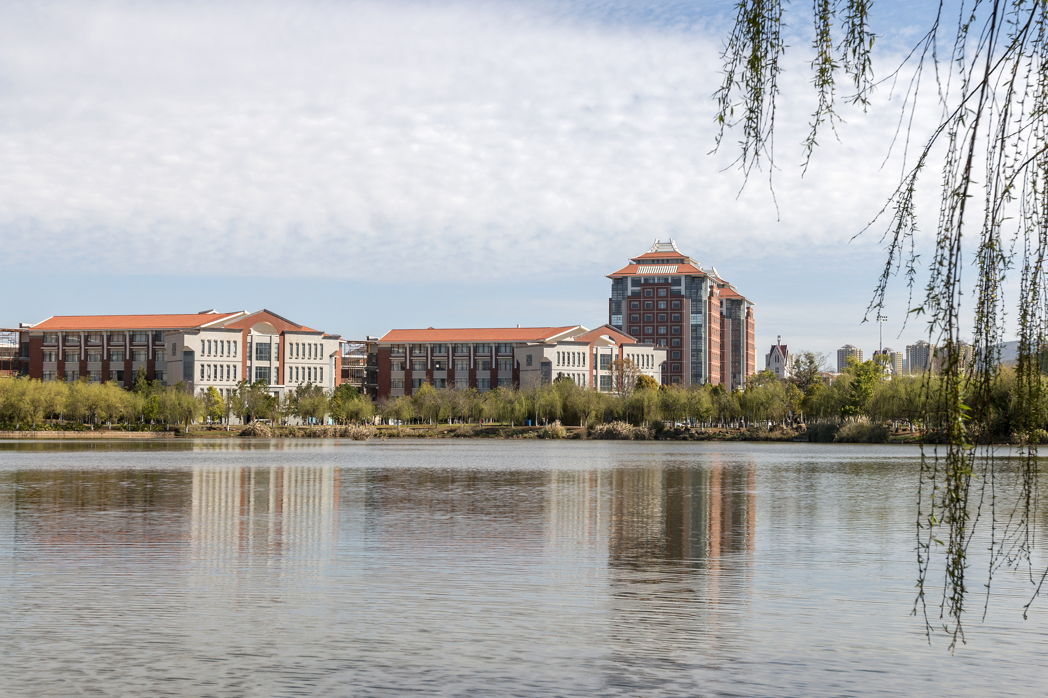 昆明医科大学口腔医学专业介绍