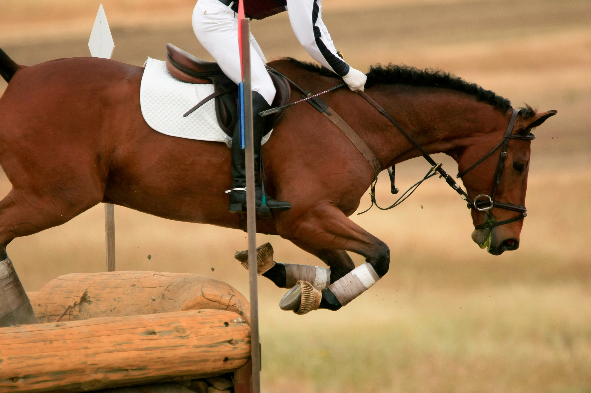 equestrian drop off