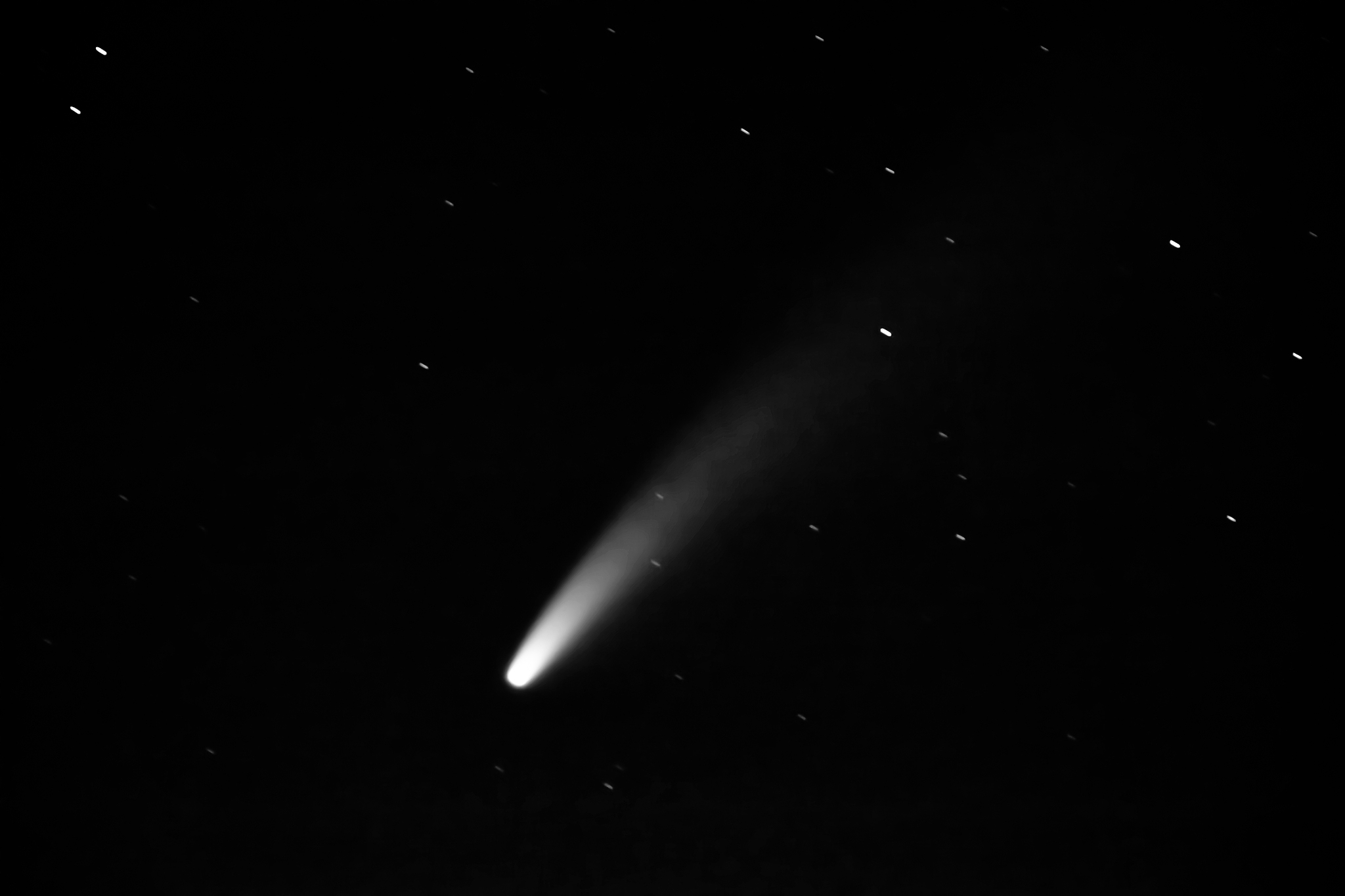 neowise comet in 2020