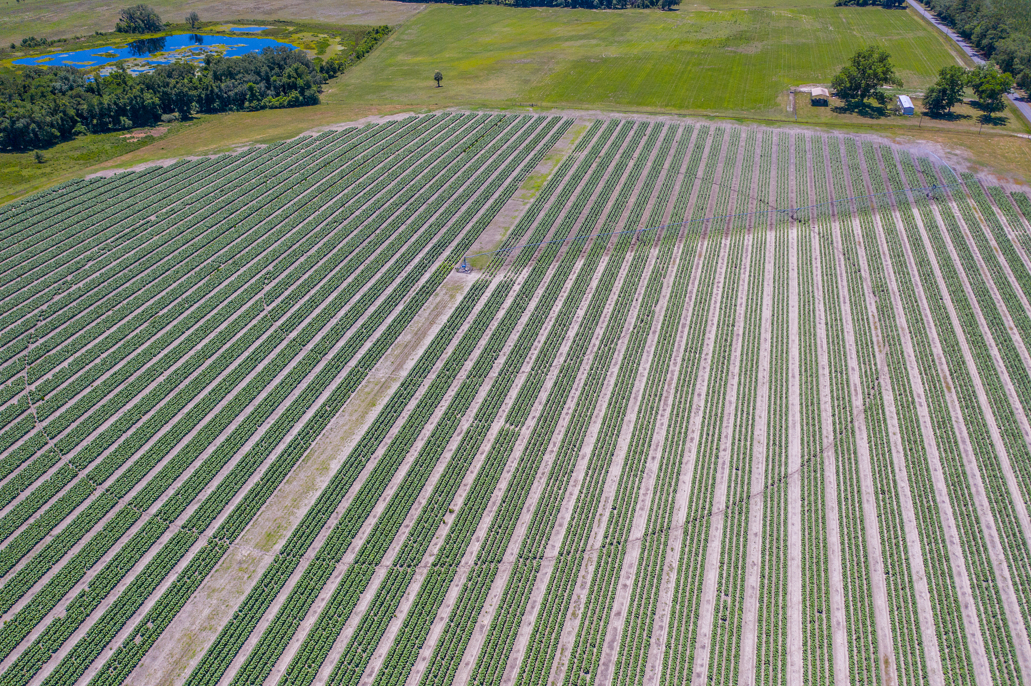 山西省农业机械化学校农机工程系简介