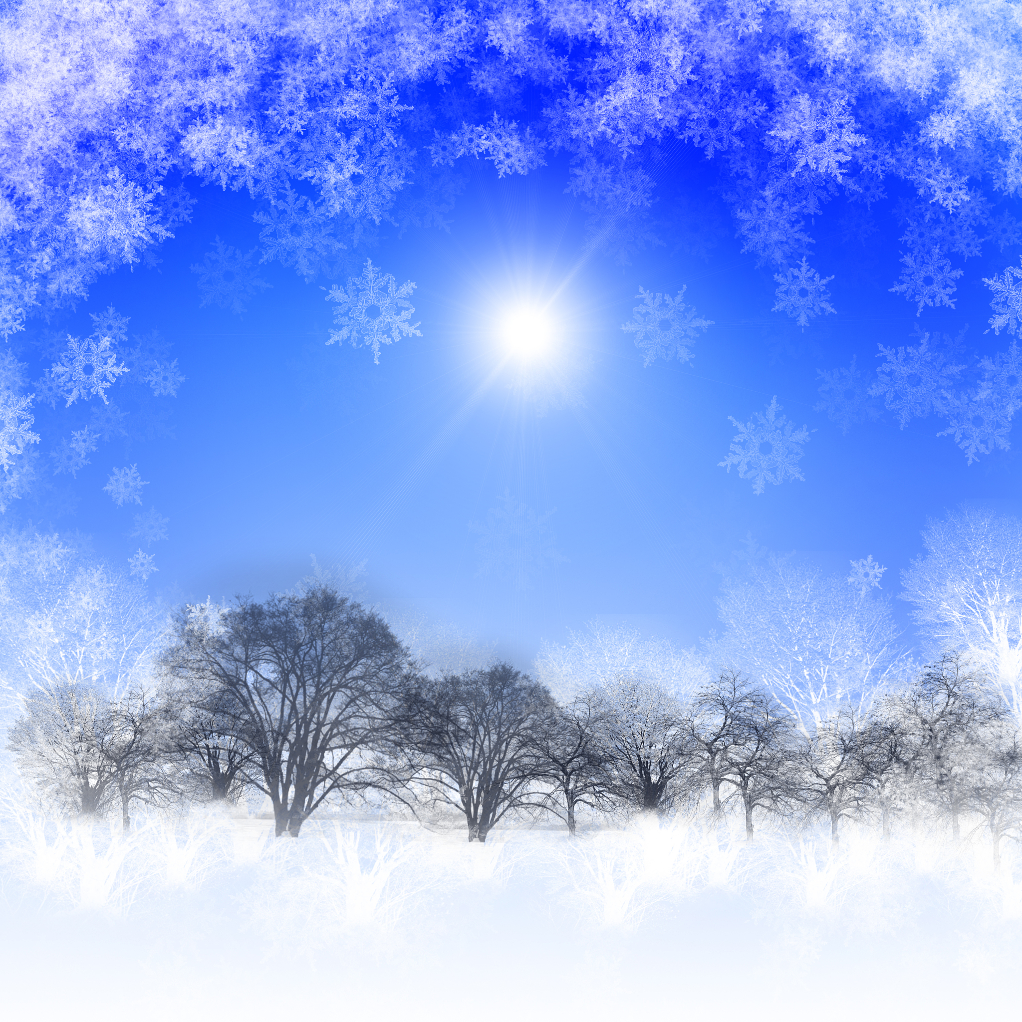 冬日雪景诗：描写雪的美丽与祥和