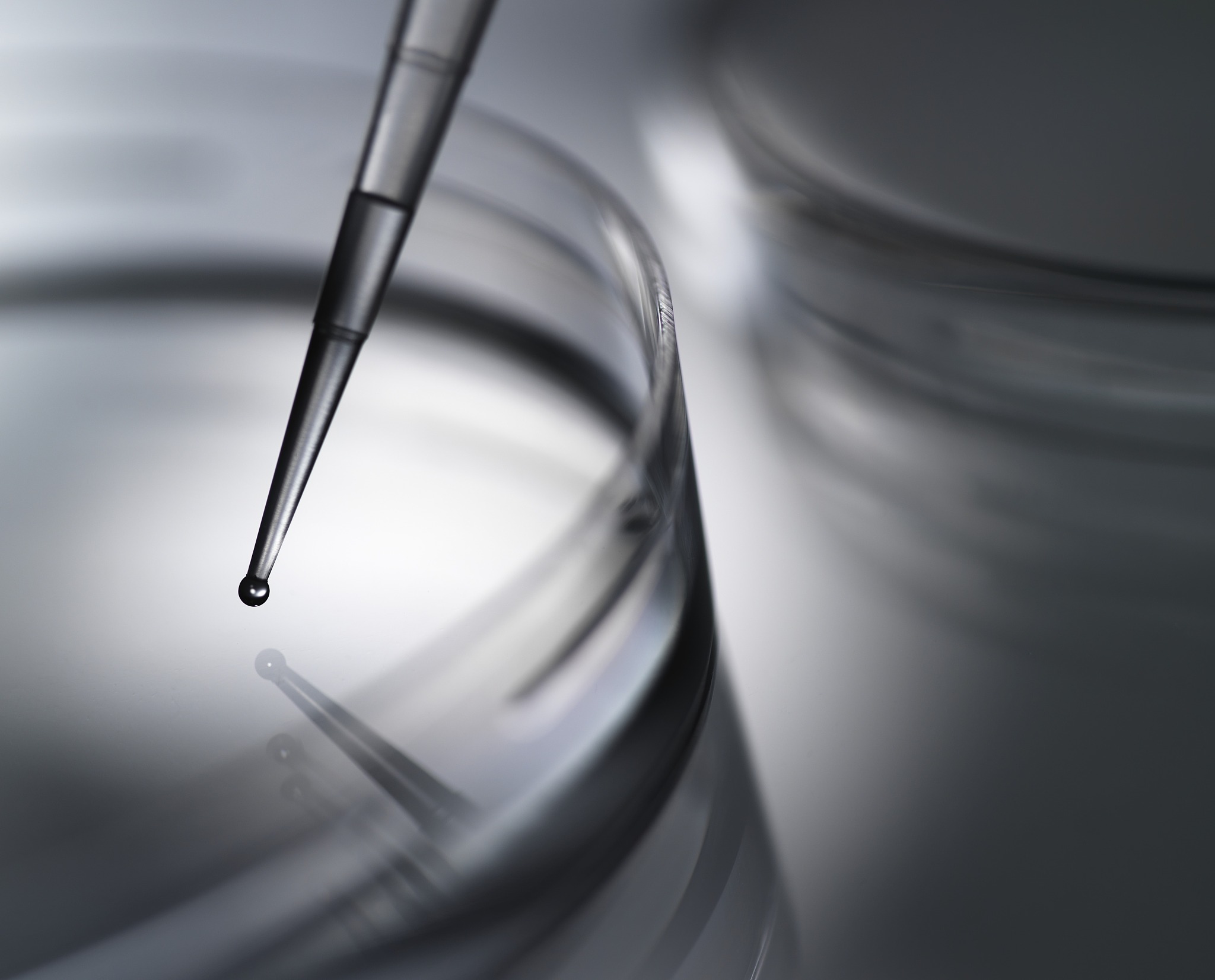 基于10x空间转录组撰写一个《空间表达图谱》的文章