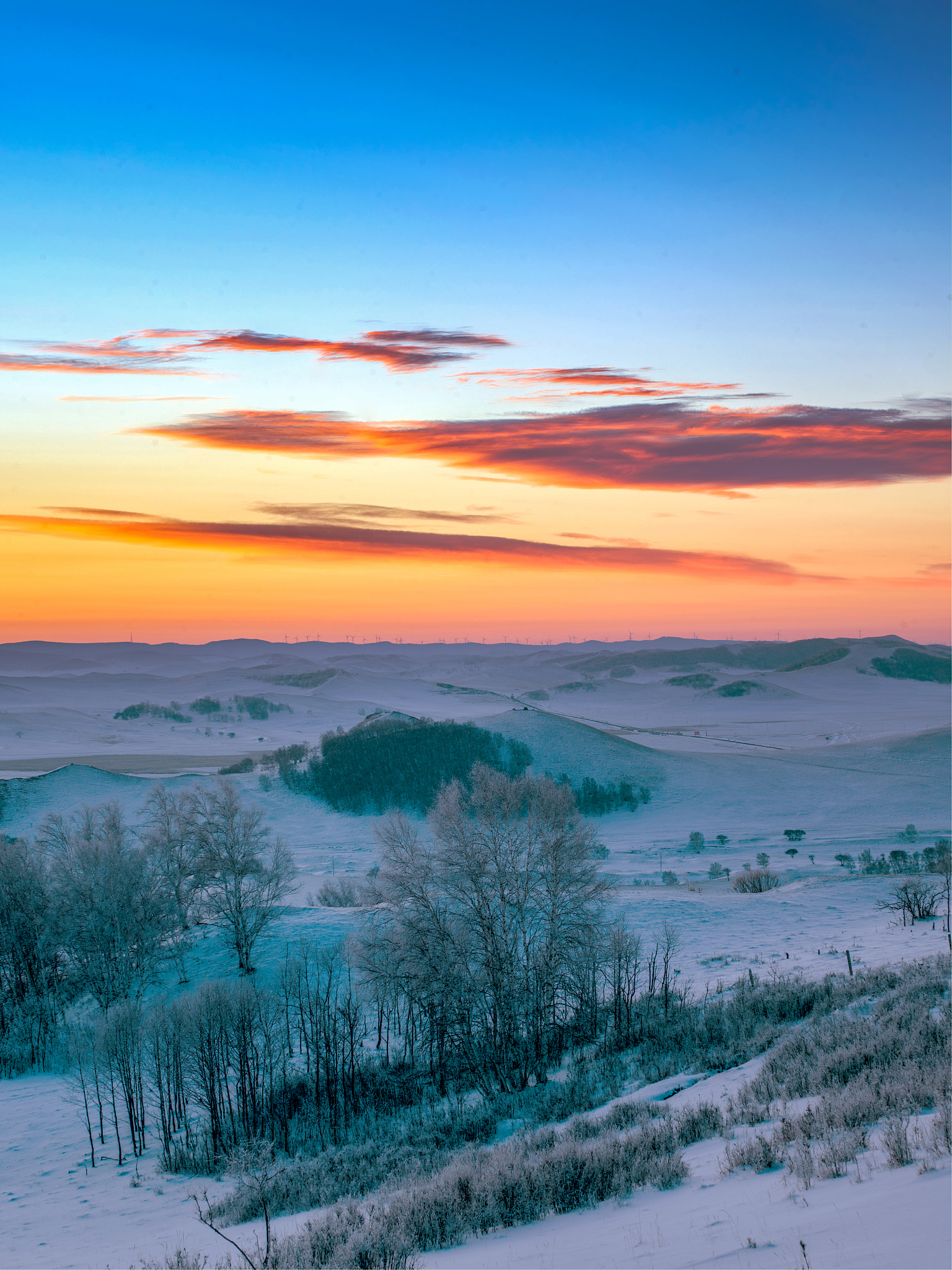如何使用滤镜增强摄影作品效果？专业技巧提升照片质感