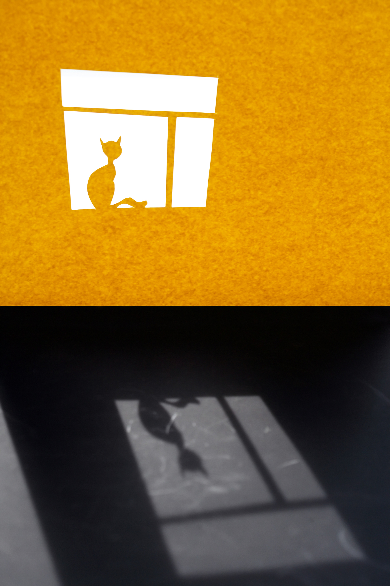 房间里的猫：一场神秘的谋杀案剧本杀