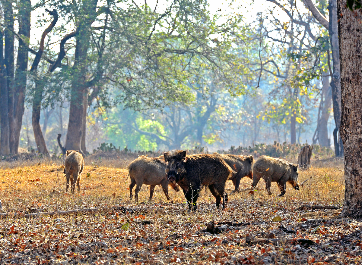 家庭群聊名称大全：好听、温馨、有创意的群名推荐
