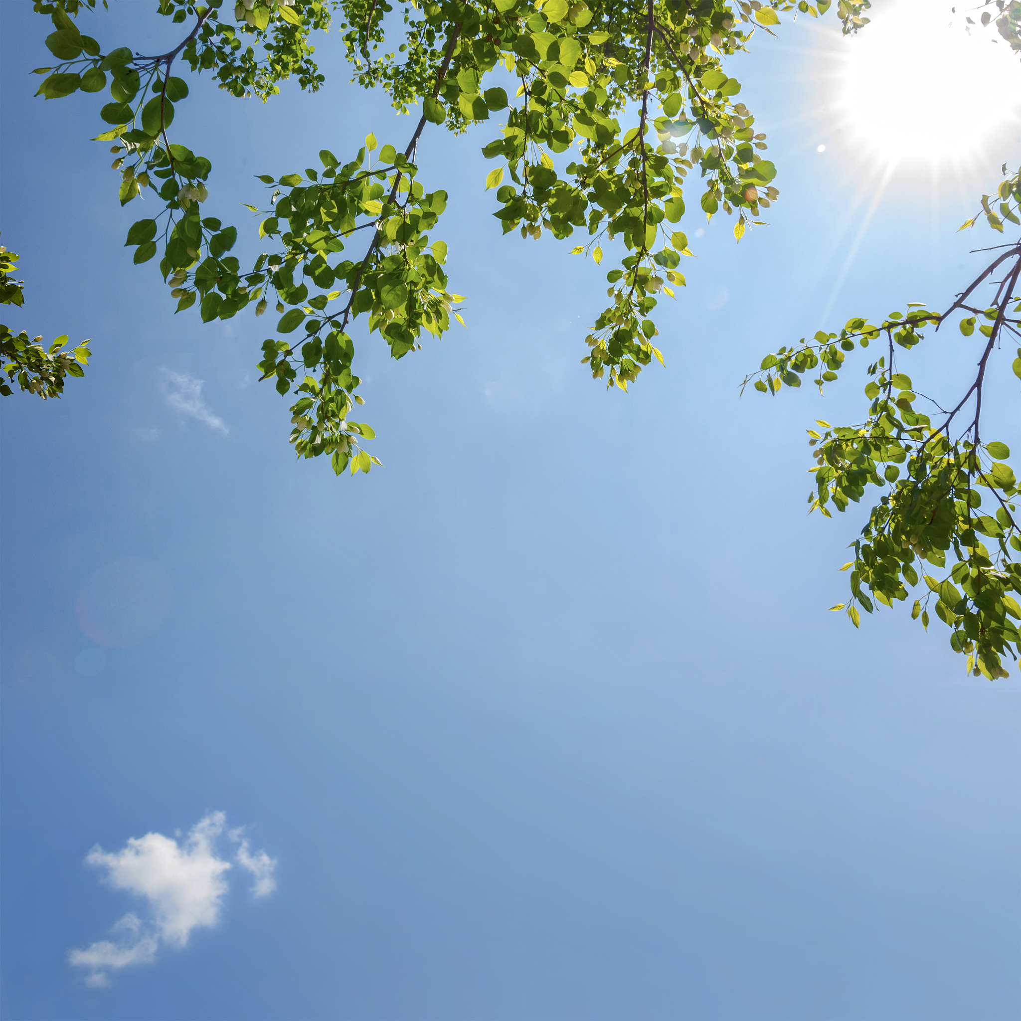 蔚蓝的天空书写夏天明媚而又清爽的气息