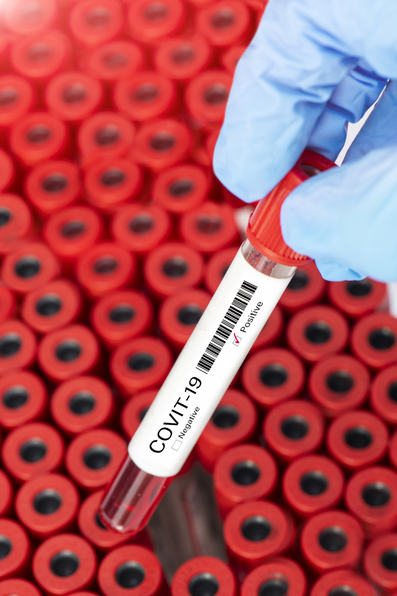 淄博职业学院工业分析与检验专业怎么样