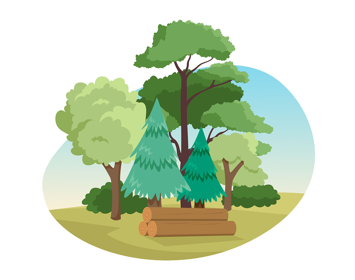 对资源的理论界定