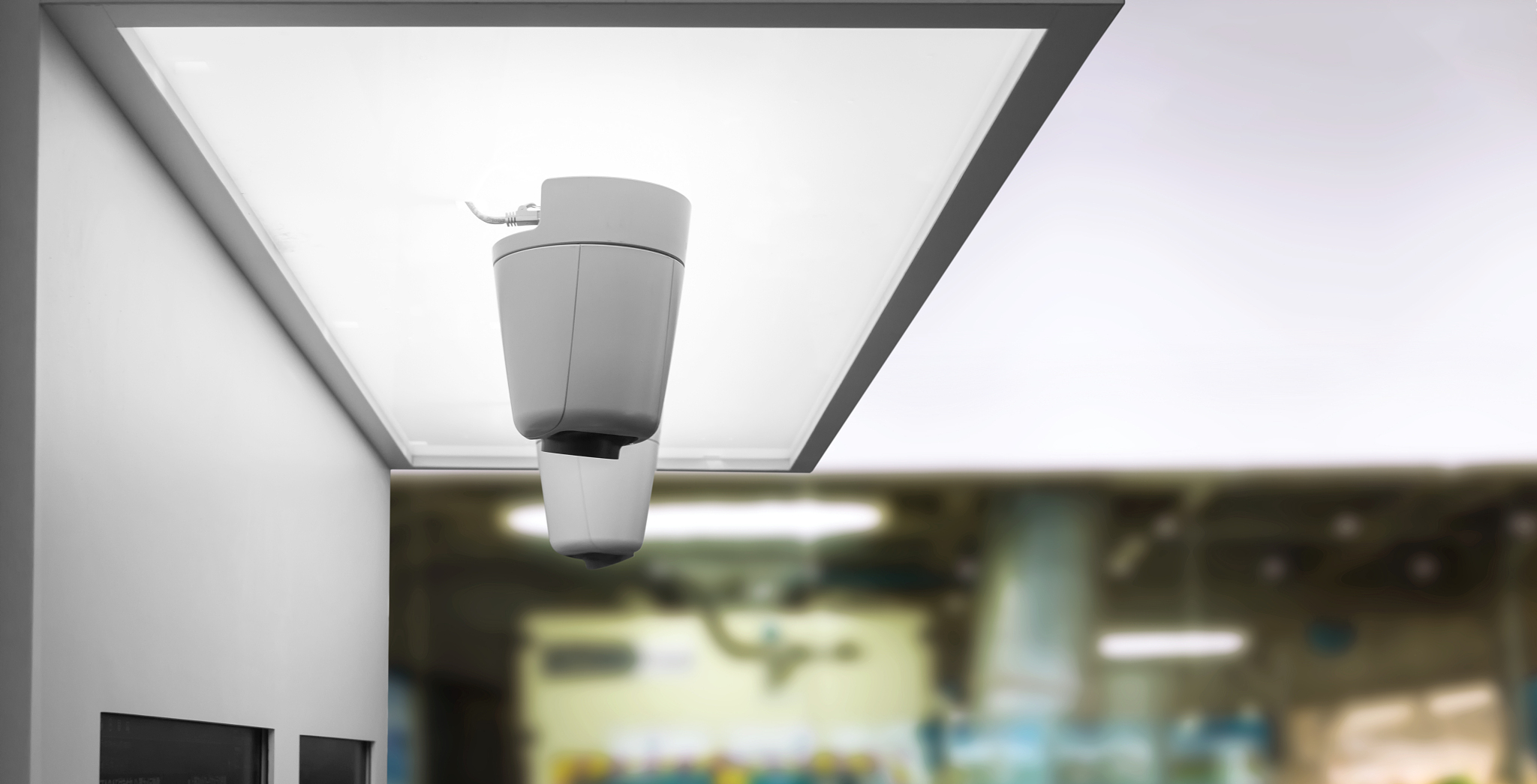 我发表了一篇专利（基于嵌入式边缘平台的钢板缺陷实时检测系统与方法 [发明]），请将他写进我的英文简历的 发表物 栏里