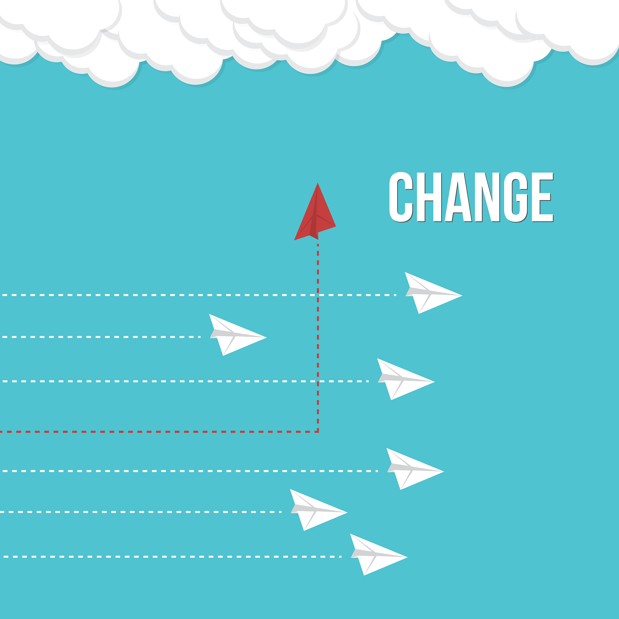 人类智力的独特优势：超越动物界的七大特征