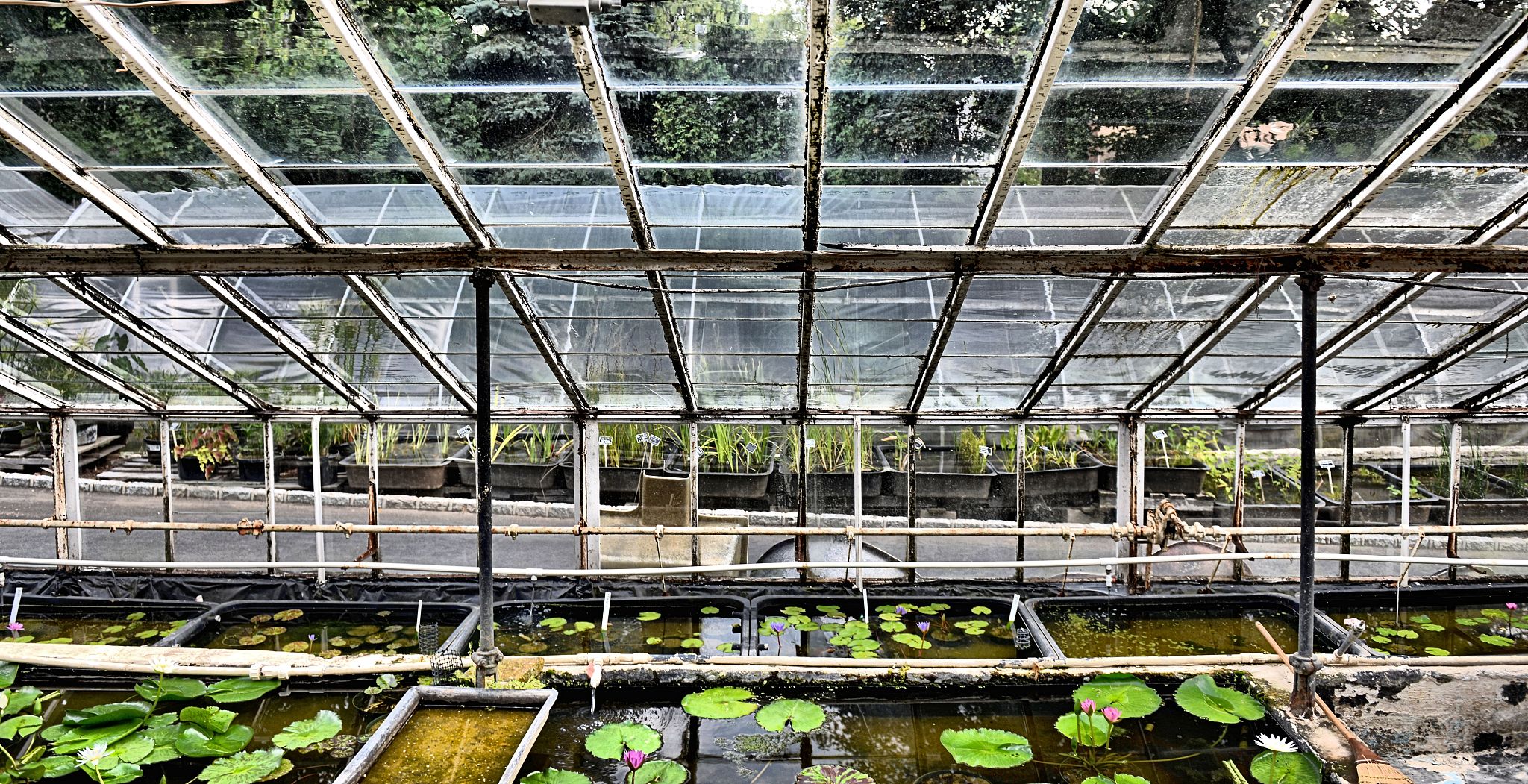 长春日光温室采光设计指南：最佳方案与注意事项