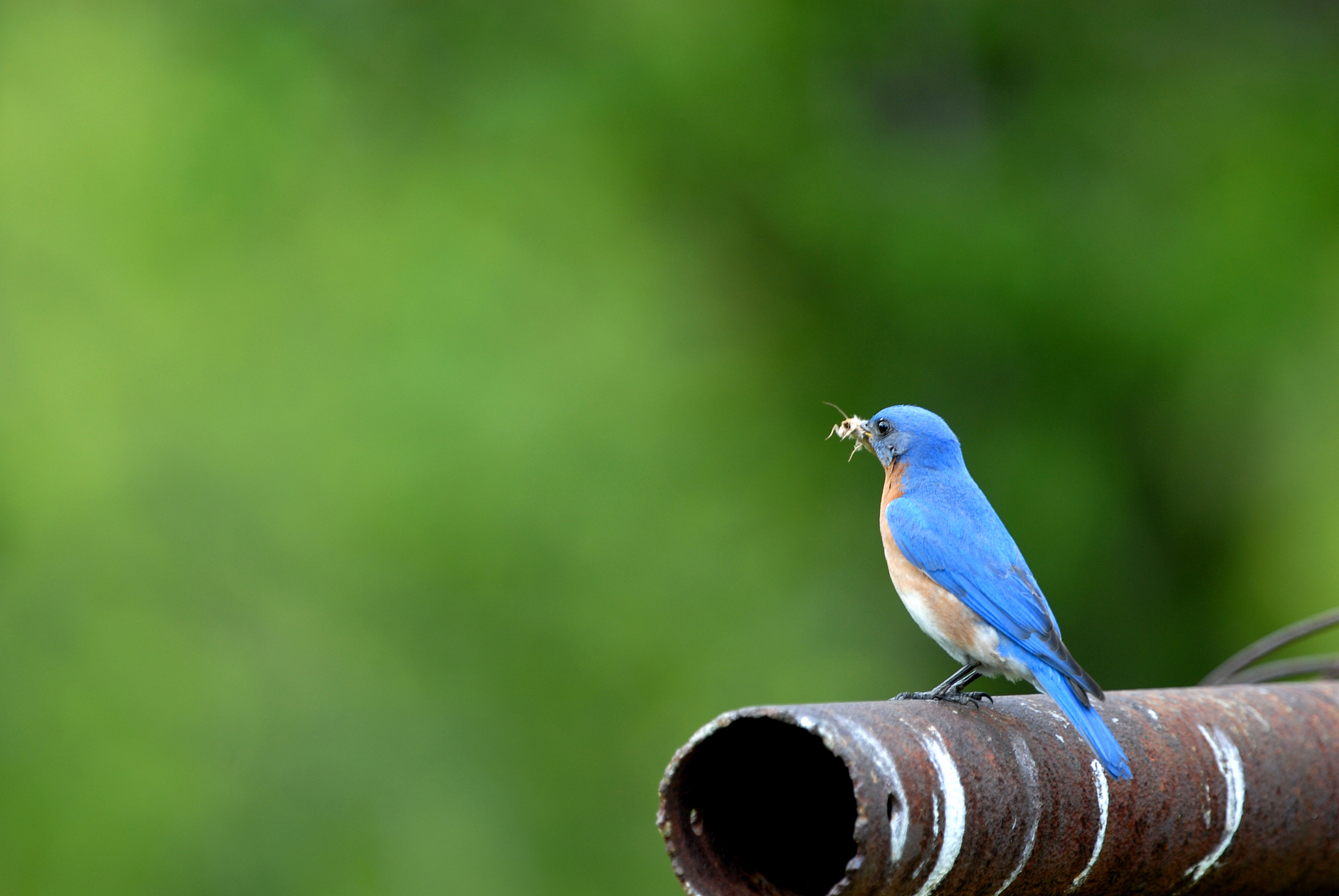 初中毕业的女生在甘肃北方技工学校学什么专业比较吃香？