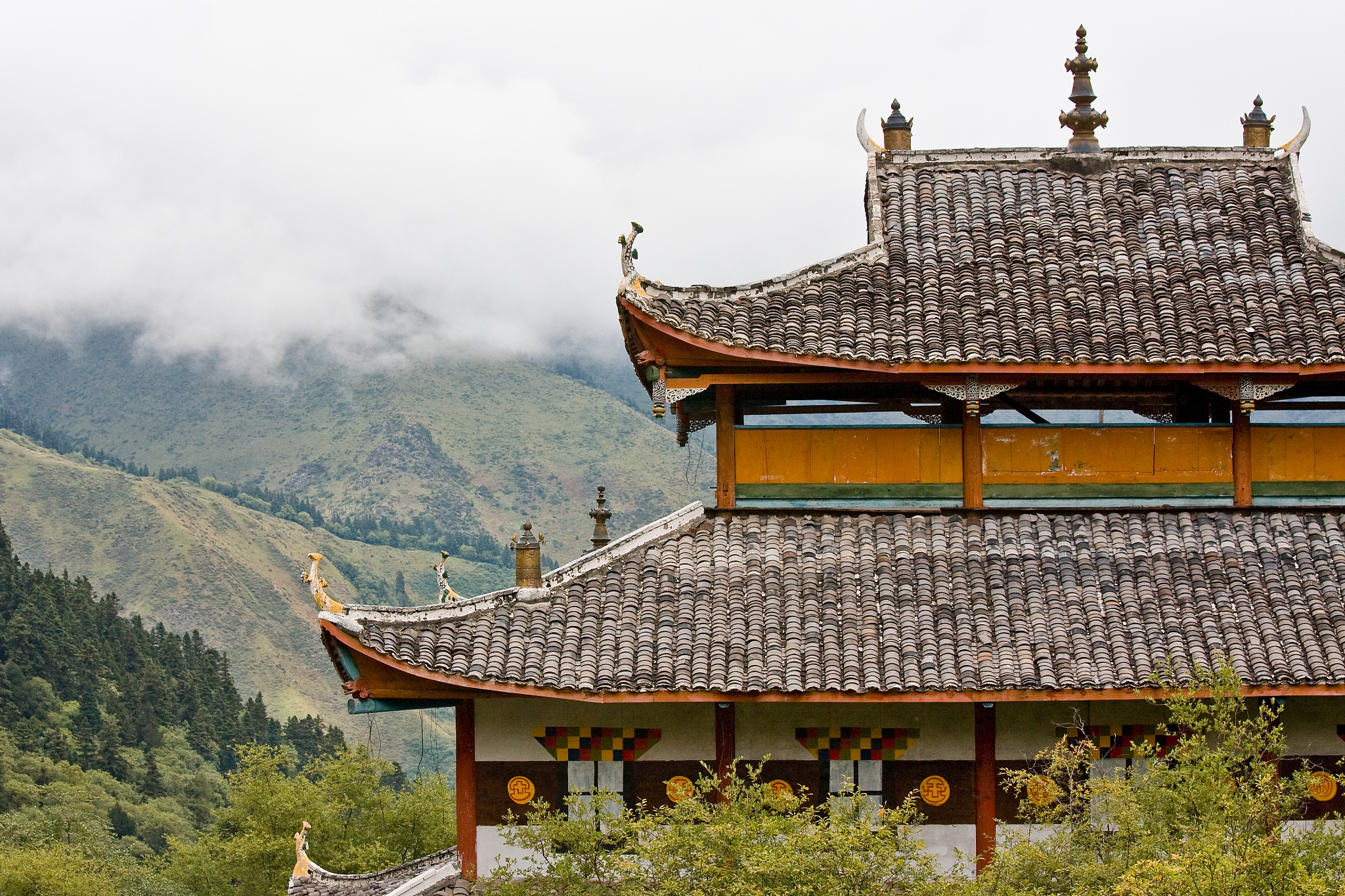 四川旅游服务与管理专业职校推荐 - 学习旅游管理的最佳选择