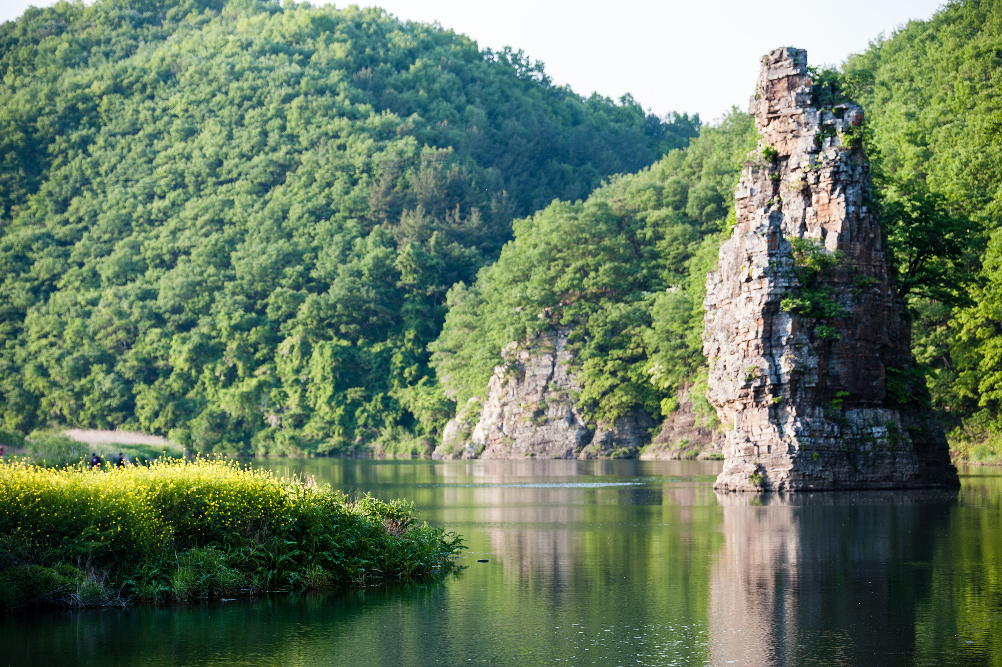 林雅之旅 - 探索自然风光和文化遗产