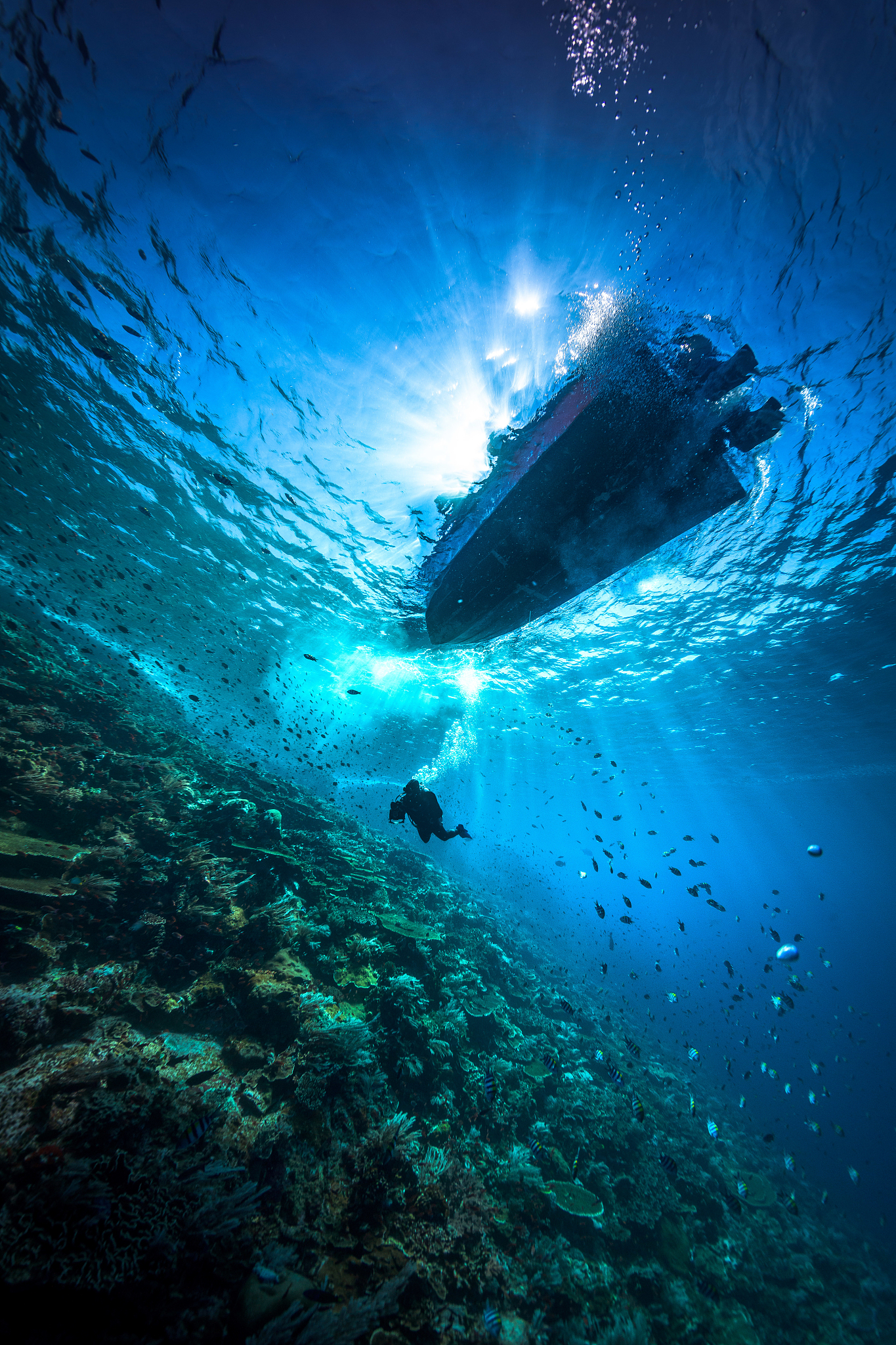 woman scuba diving in sea