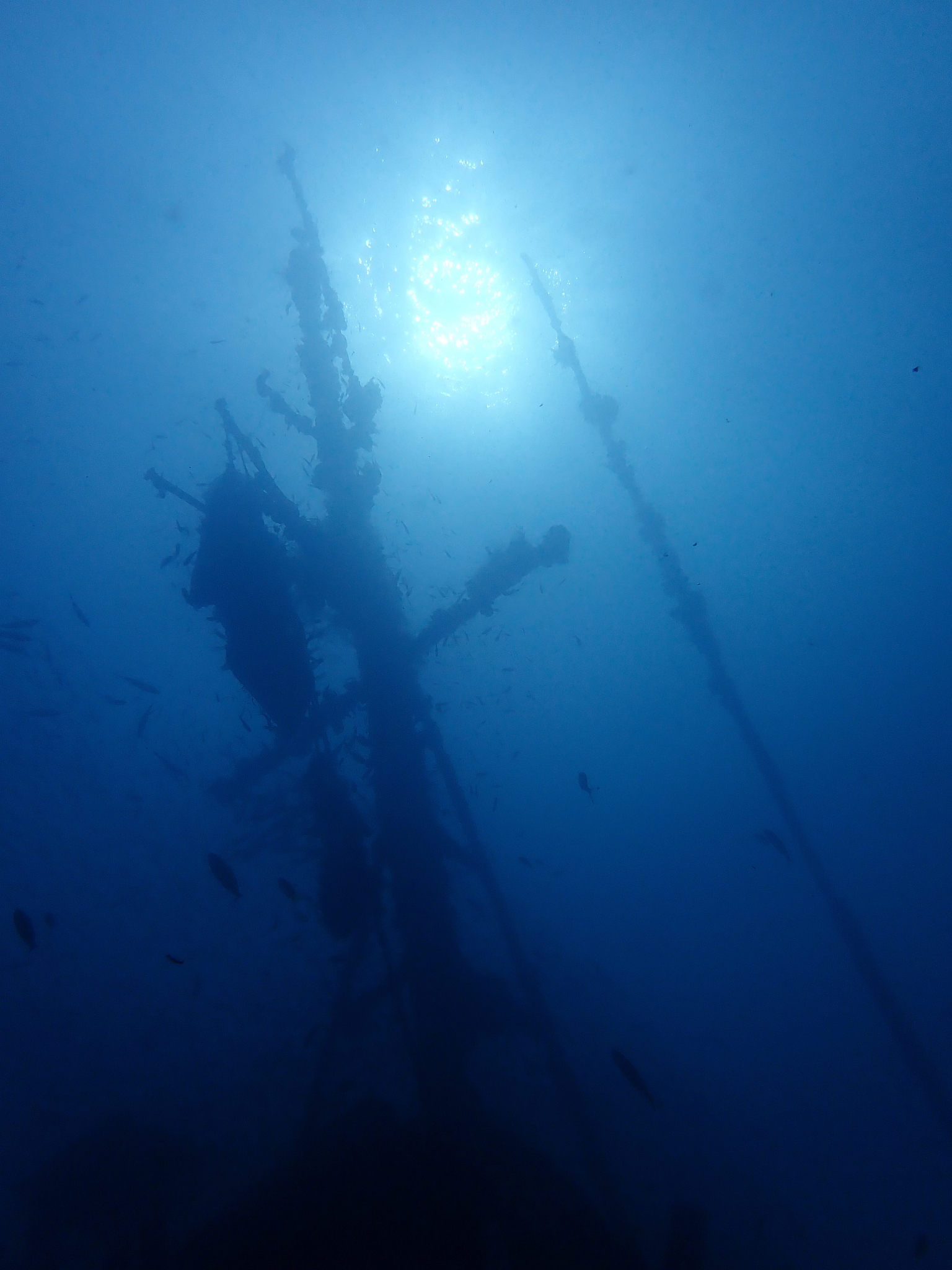 MARINE AND FRESHWATER RESEARCH期刊：探索水生生态学的奥秘