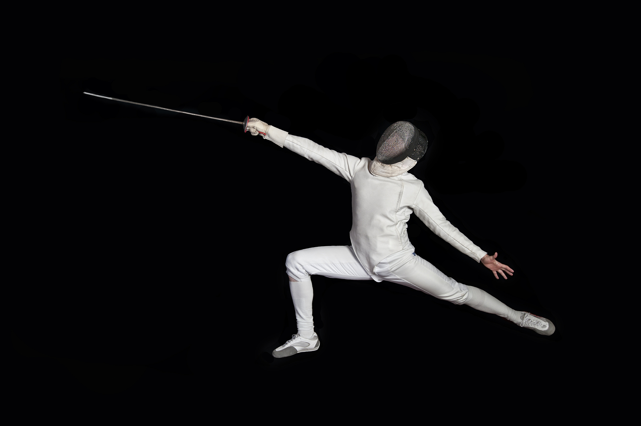 fencing