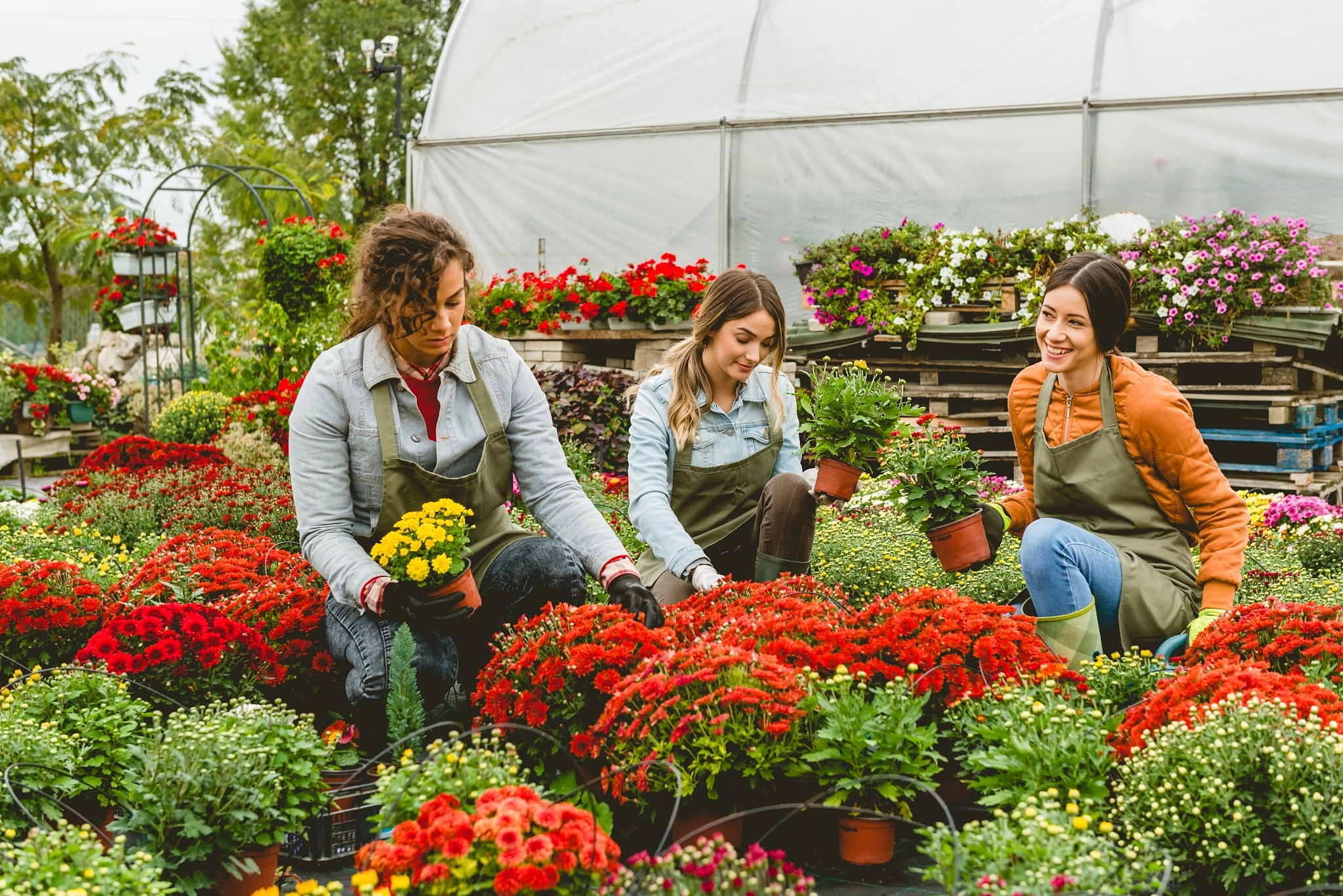 florist working in greenhouse