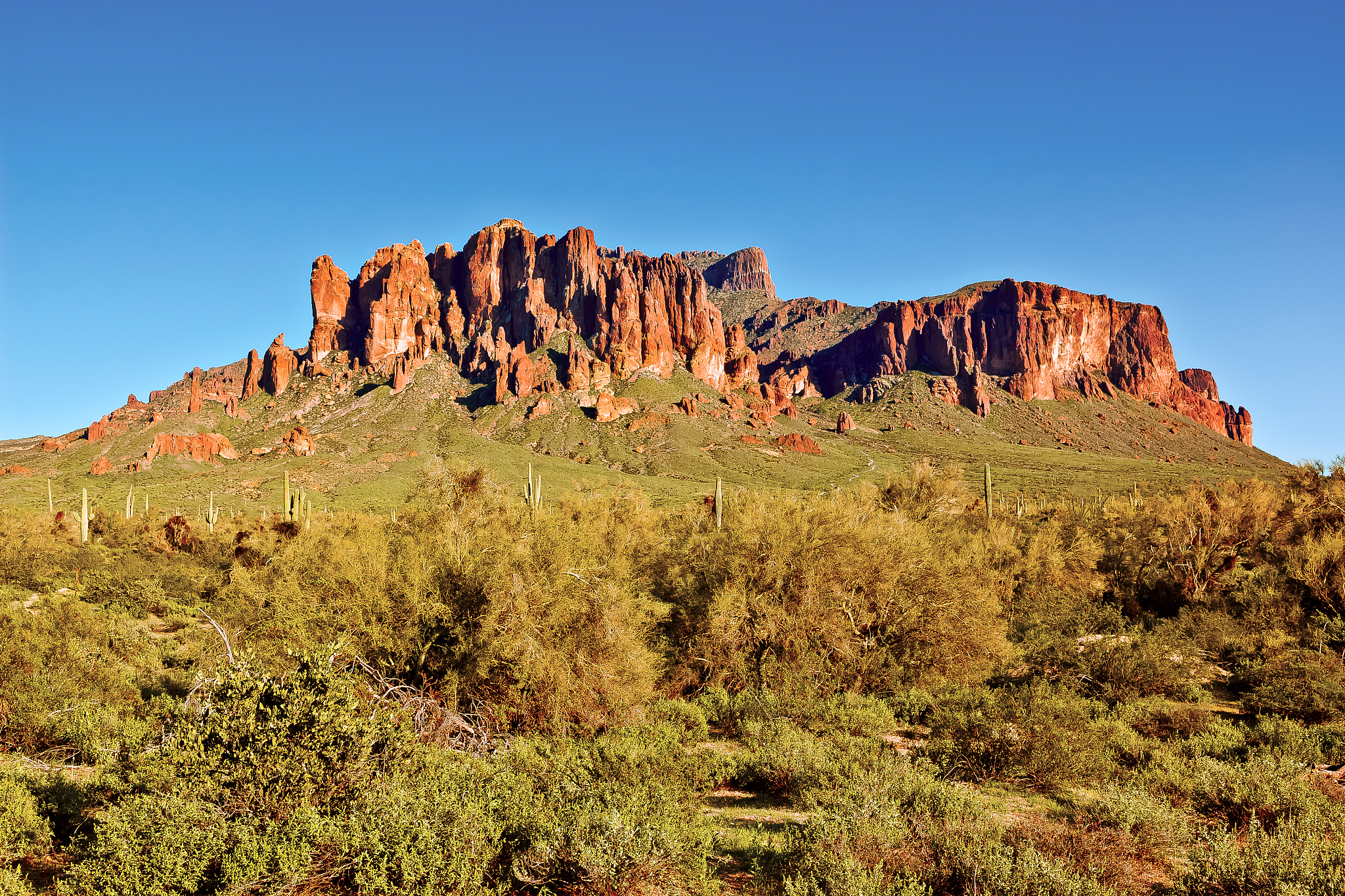 usa, arizona, lost dutchman state park, superstition mountains