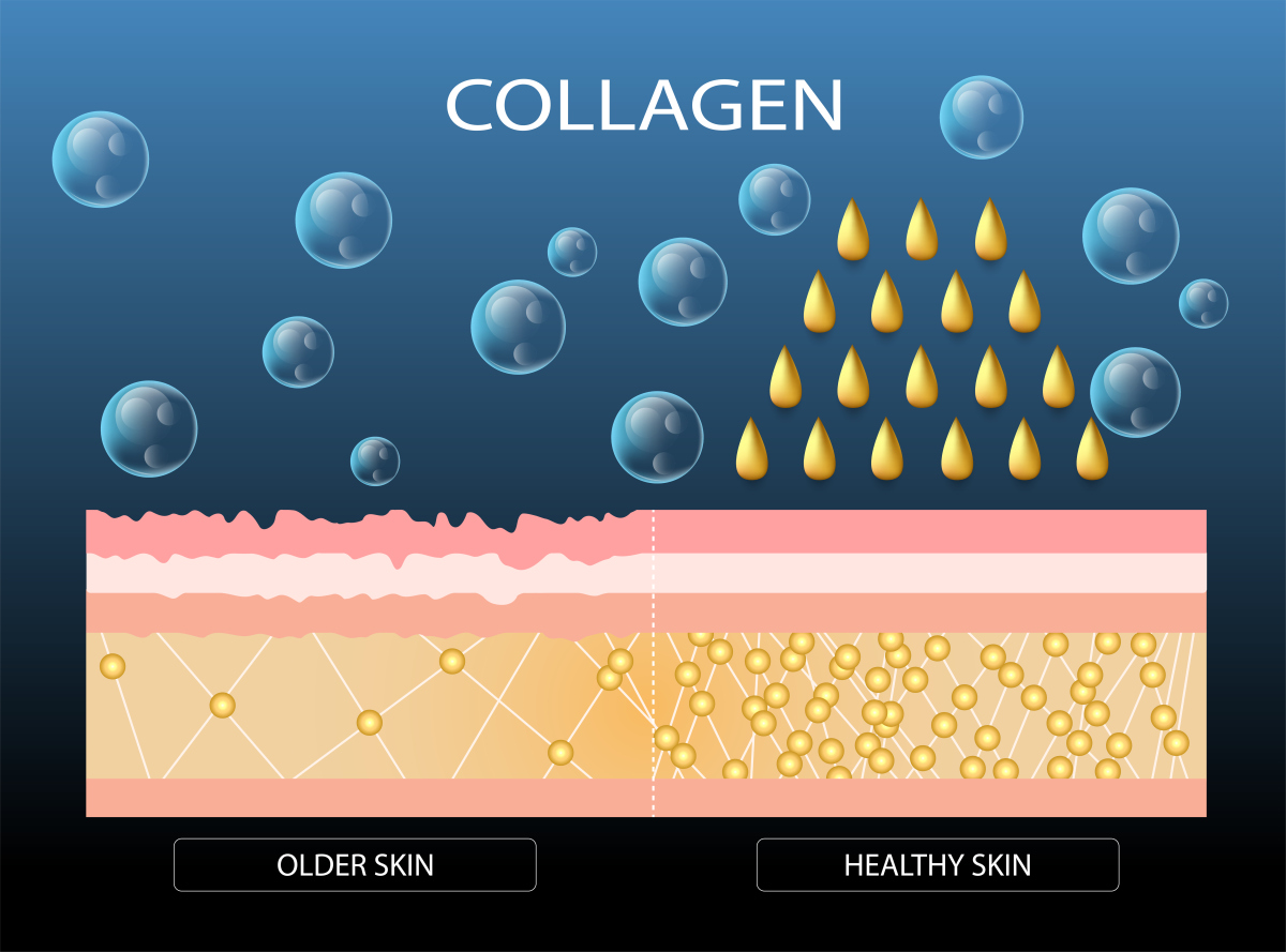 胶原蛋白是否是真正的蛋白质