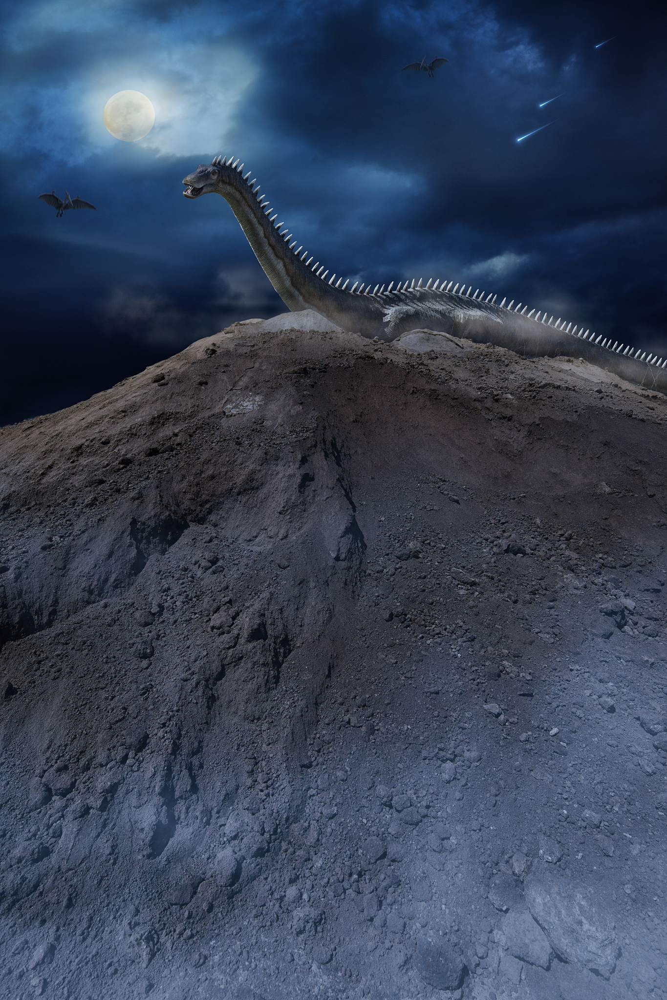 diplodocus