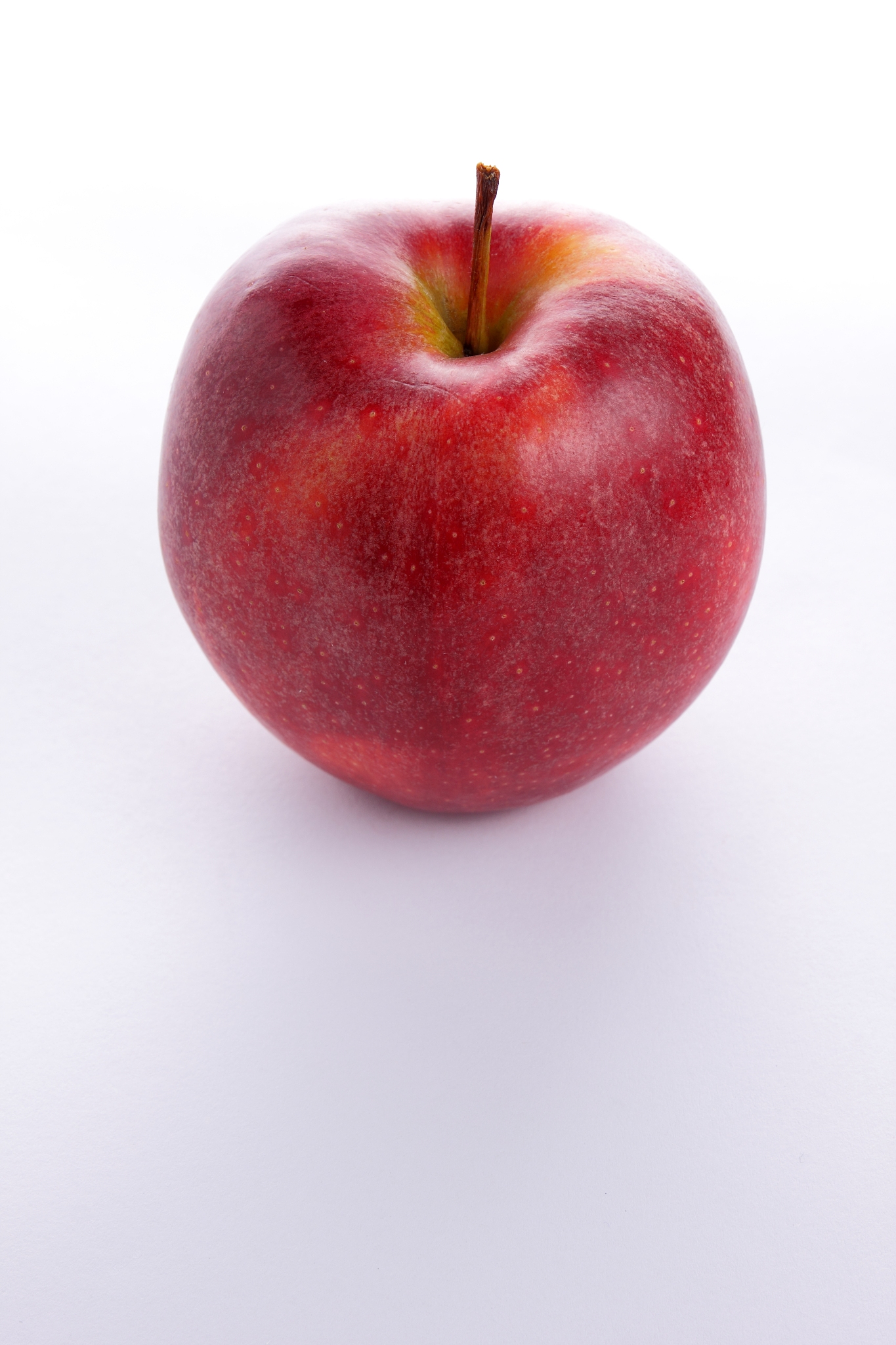 apple pop art
