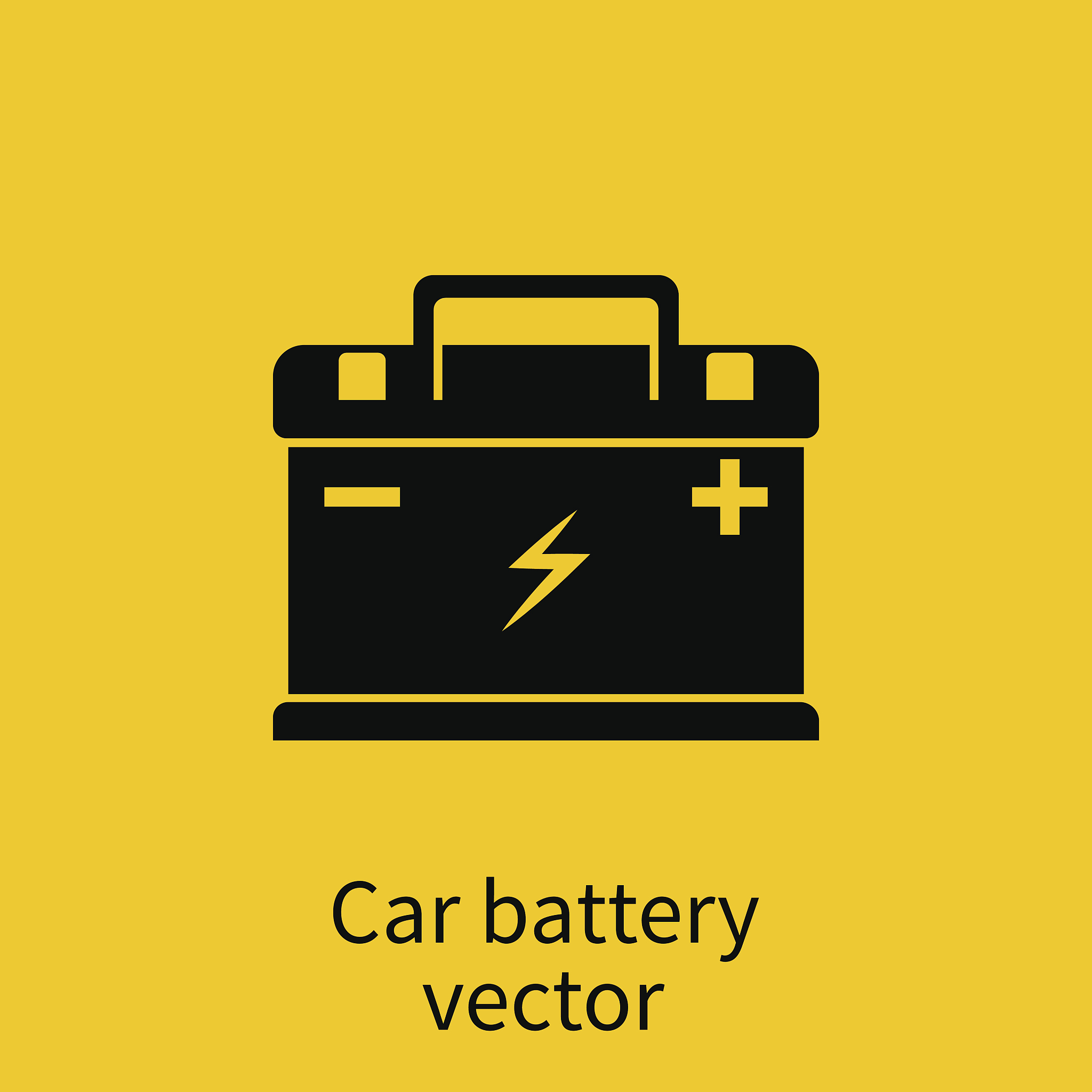 Vehicle Inspection Report: Fuel Levels and Battery Safety Measures