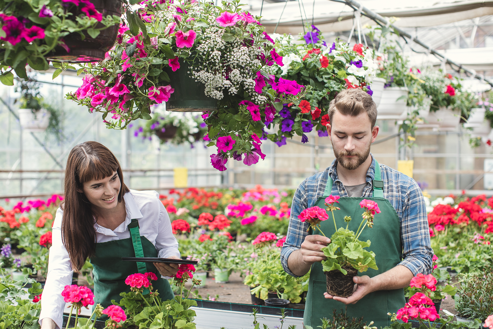 黑龙江农业职业技术学院植物保护与检疫技术专业专业可以选择哪些就业方向