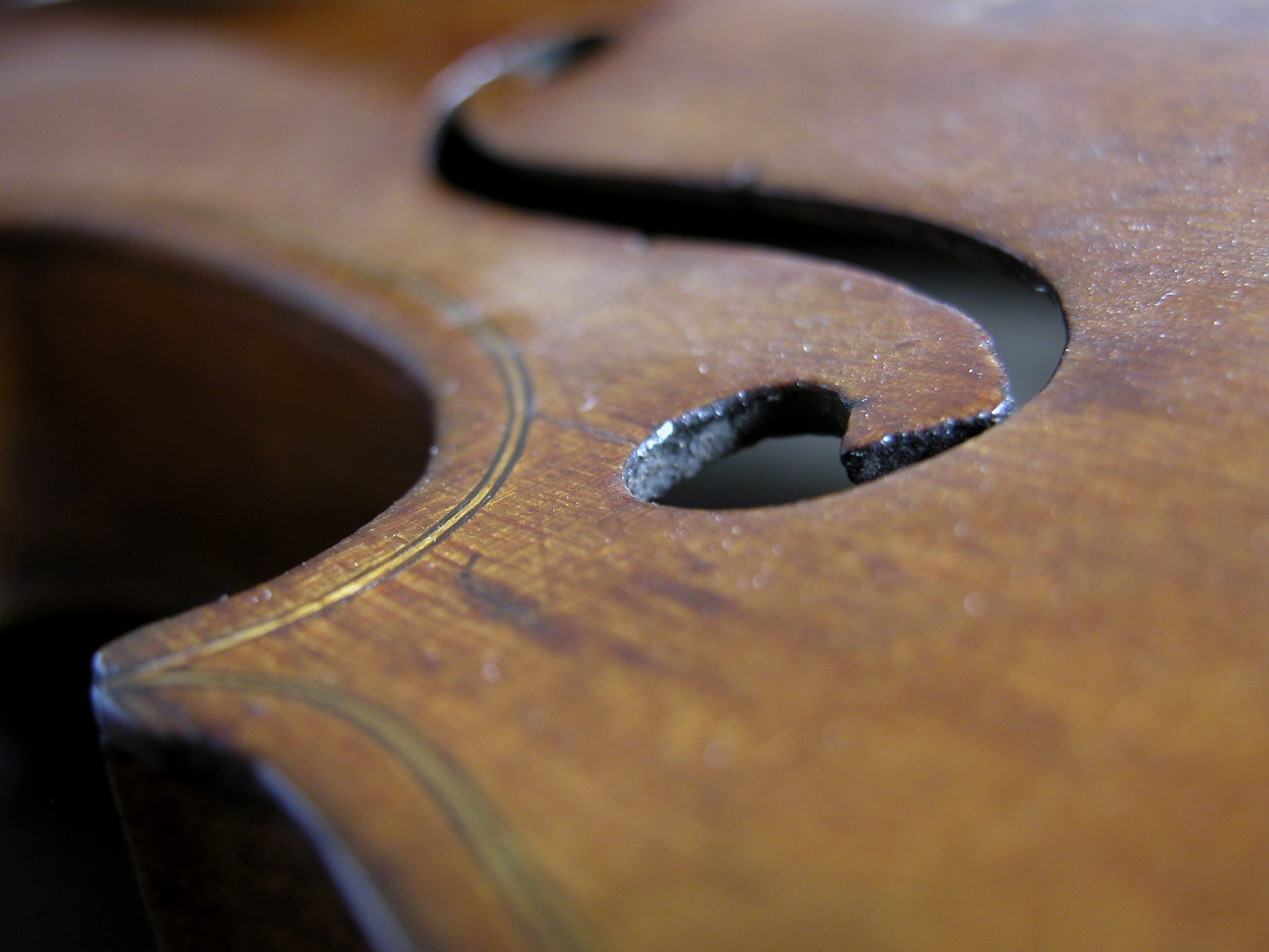 violin
